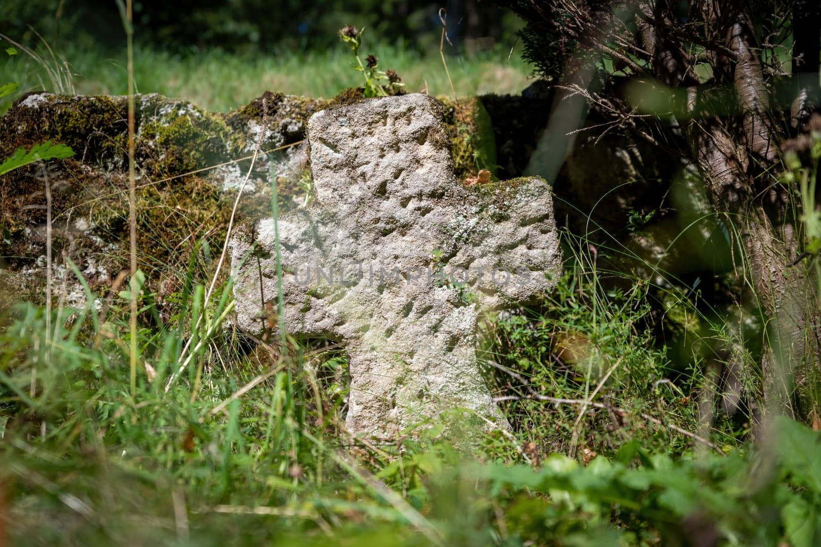 Very old single tombstone made of red sandstone overgrown with grass and weeds