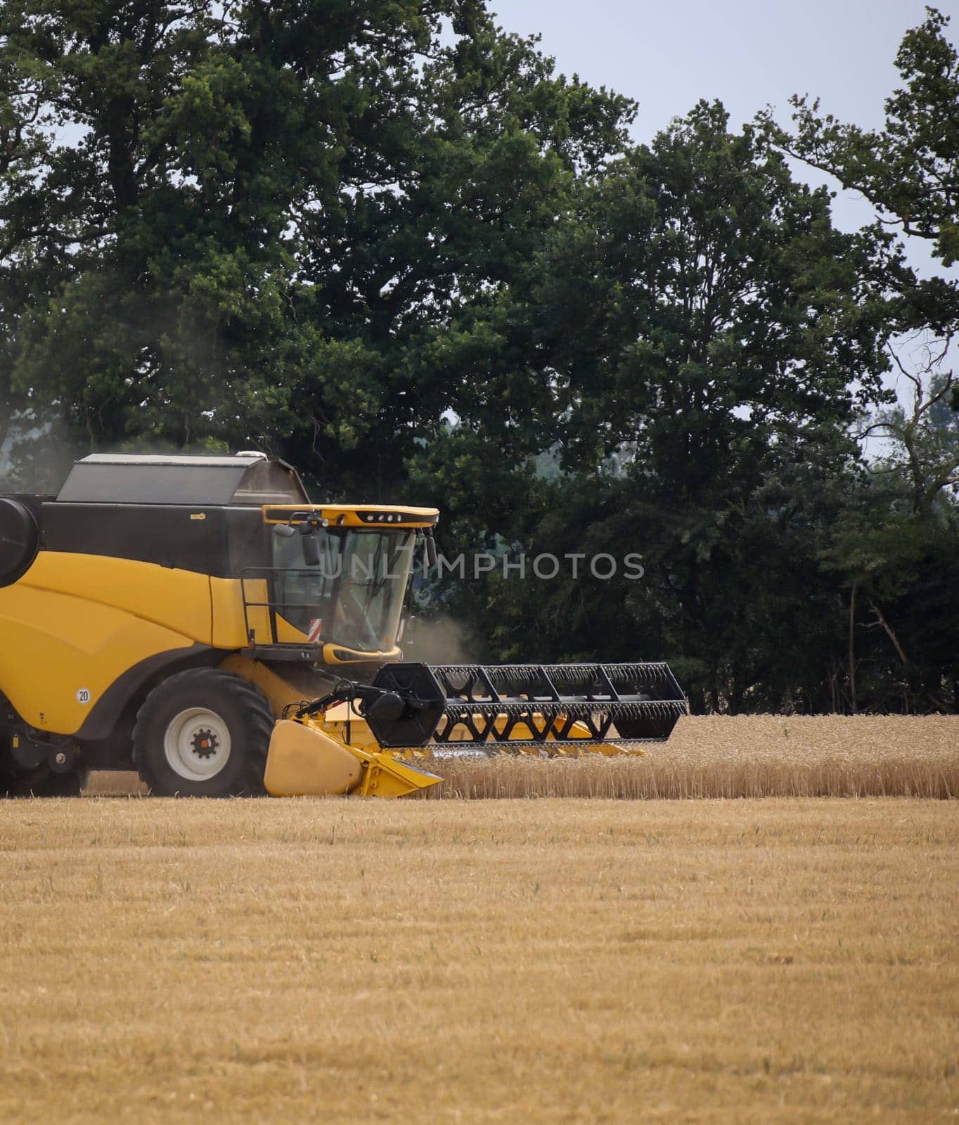 A yellow combine harvested a field of grain.