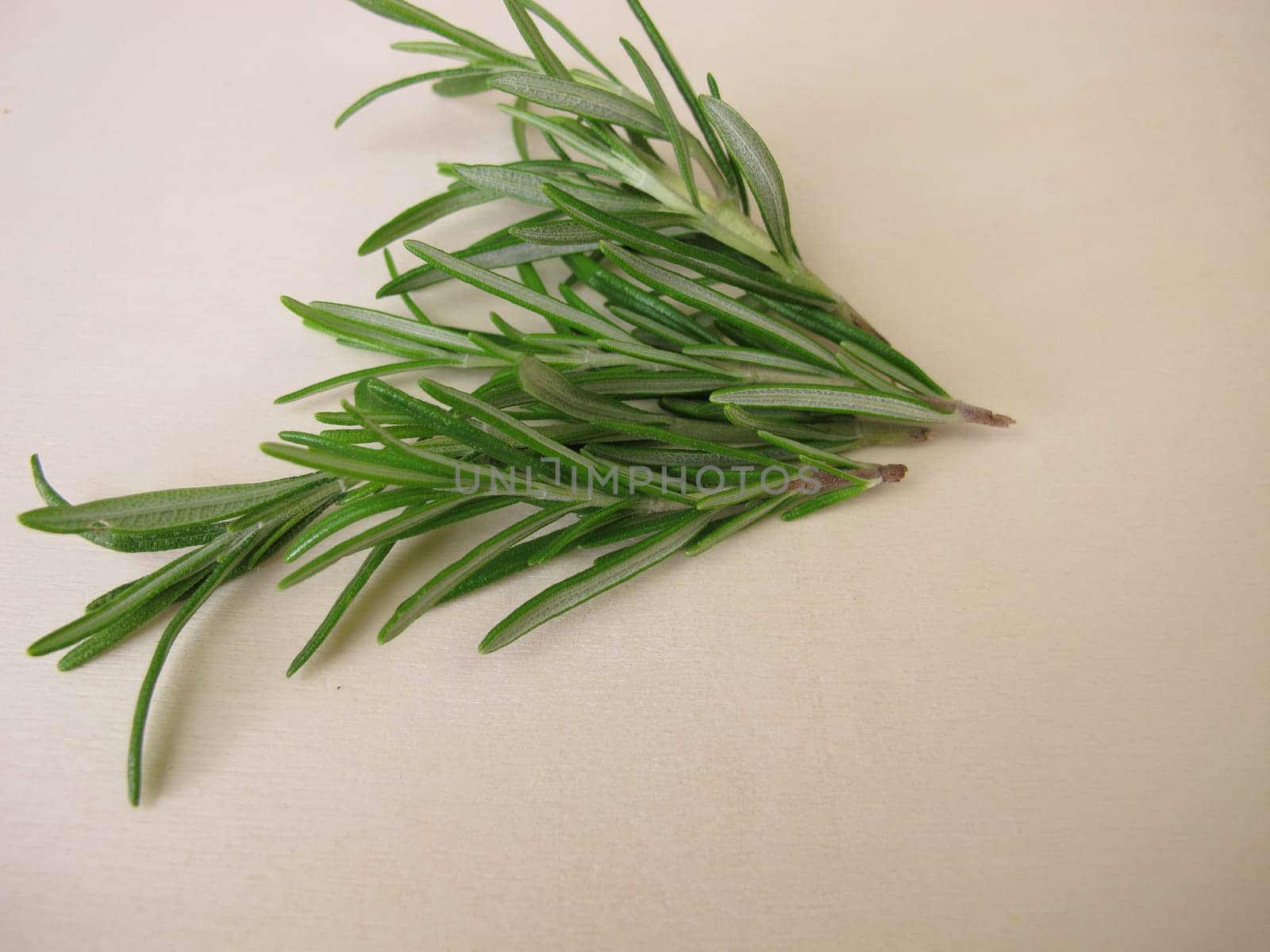 A small bouquet with fresh rosemary on a wooden board