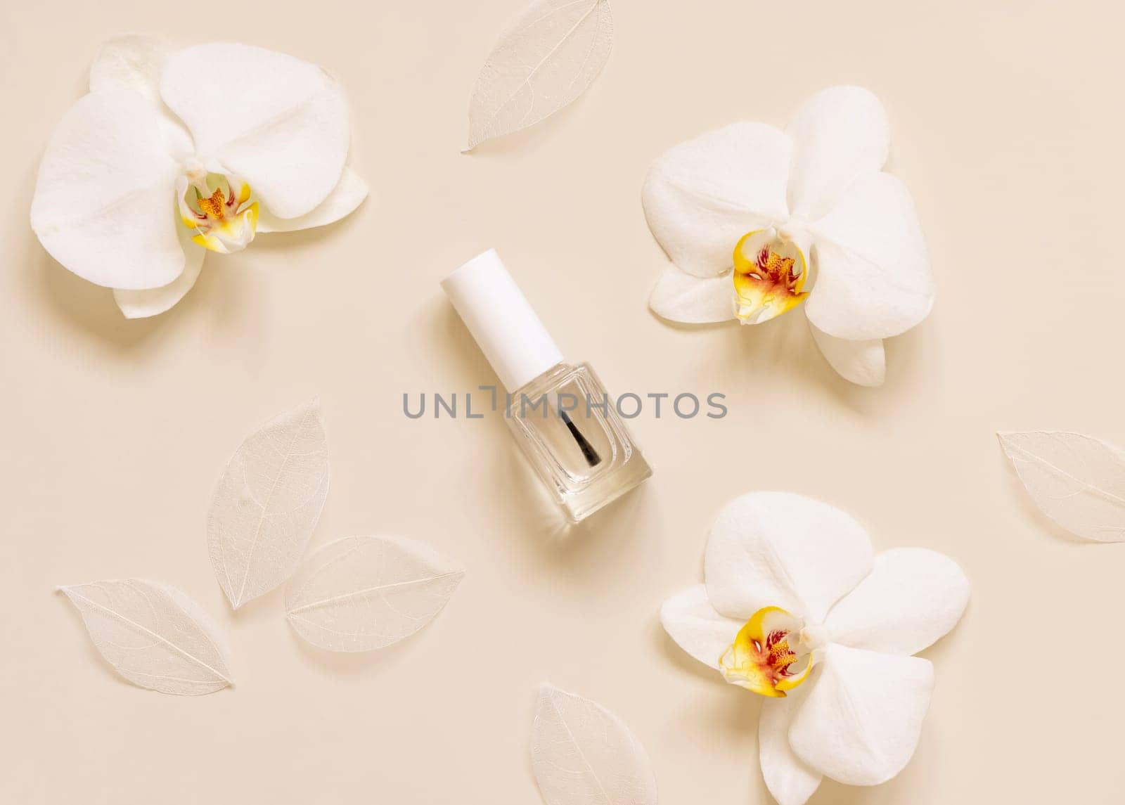 Clear Glass Refillable Bottle with Brush Cap near white orchid flower on light beige, top view, Nail product mockup. Exotic natural cosmetics, pastel minimal composition..