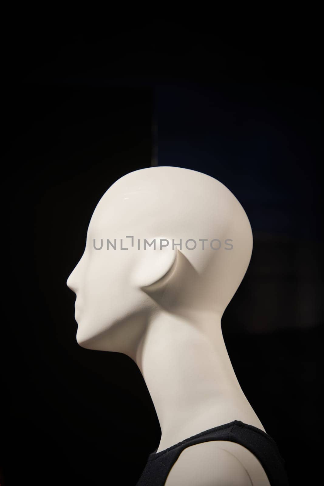 Head of a female mannequin in a shop window in Berlin