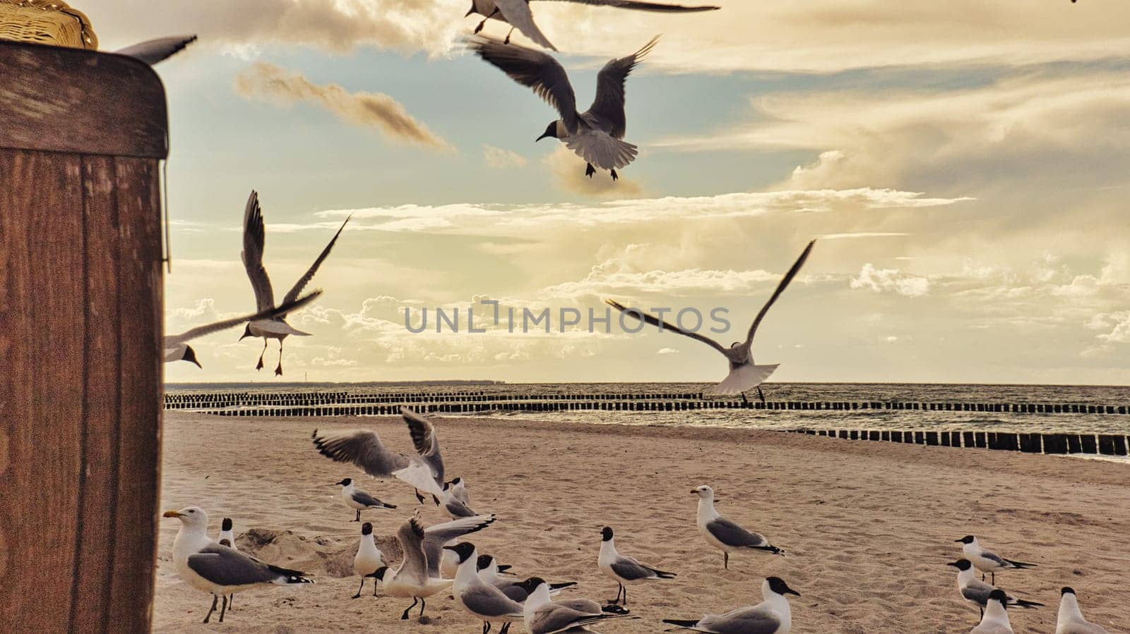 Beach chair in the sand by the sea. The sound of waves and seagulls in a beautiful light mood. Recharge your batteries with a view of the Baltic Sea