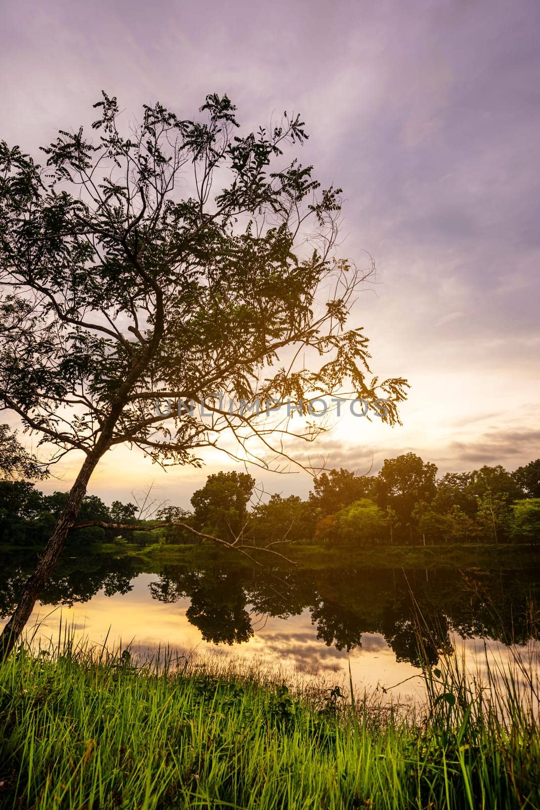 View of landscape nature and river and mountain in evening light