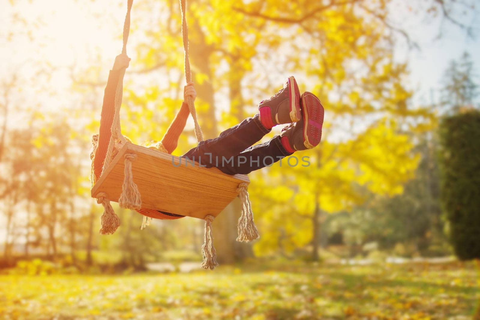 Child swinging on the swing n the sunny autumnal park. Concept of the healthy lifestyle and family vacation.