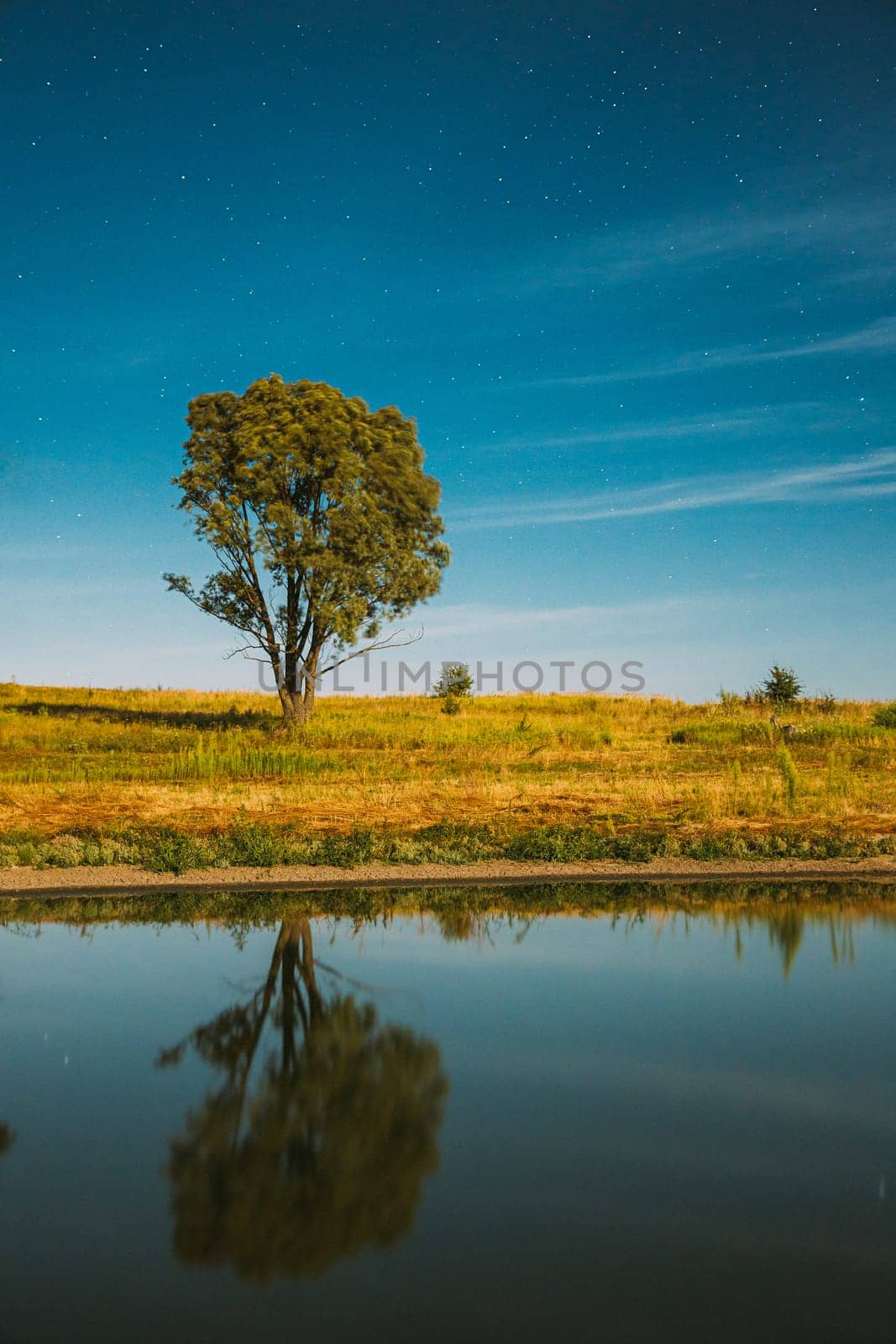 Blue Night Starry Sky Above Lake River. Night Glowing Stars And Lonely Tree Wood Reflected In Water. Night Landscape.