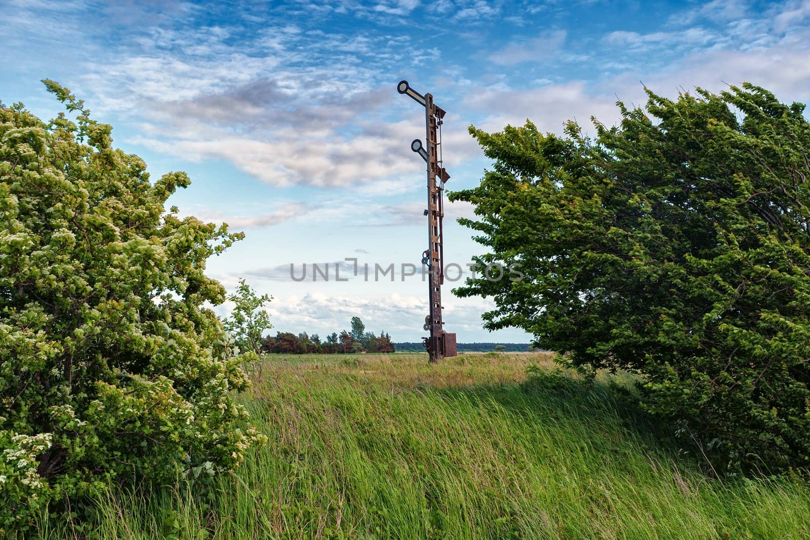 old wagons and tracks on the former railway line to Fischland-Darss peninsula, Bresewitz, Mecklenburg-Western Pomerania, Germany