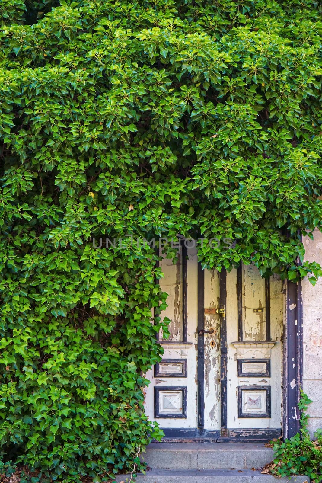 old back entrance in Zingst, Fischland-Darss, Mecklenburg-West Pomerania, Germany