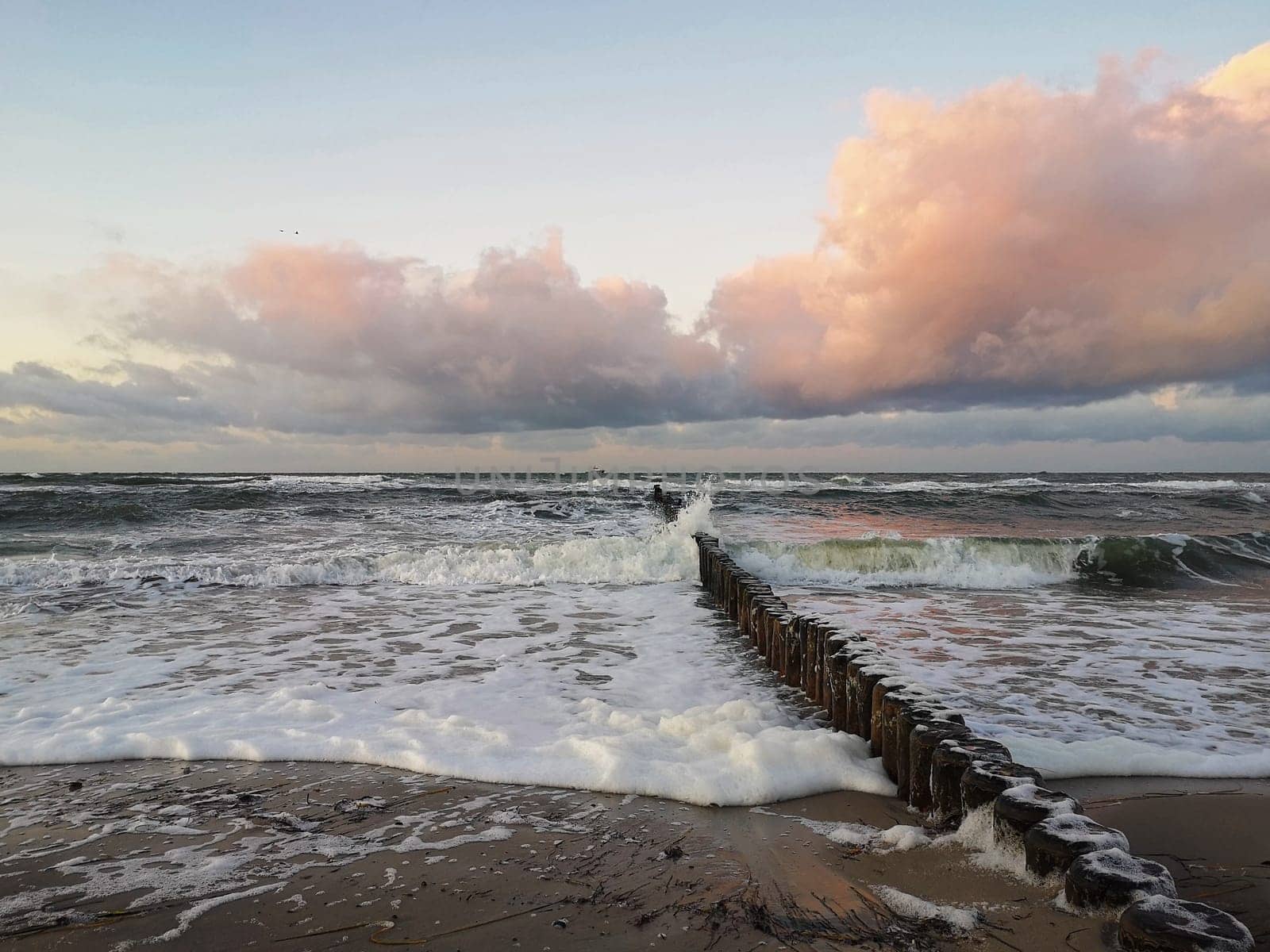 Baltic Sea coast near Kuehlungsborn, Mecklenburg-West Pomerania
