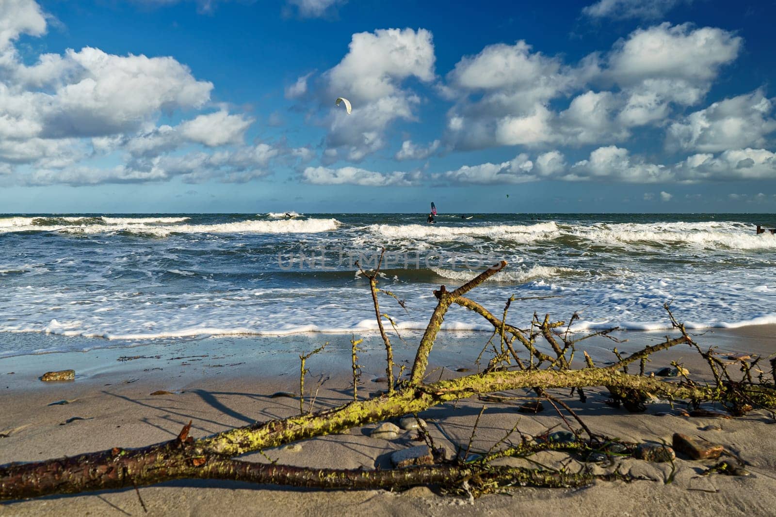 Baltic Sea coast near Kuehlungsborn, Mecklenburg-West Pomerania