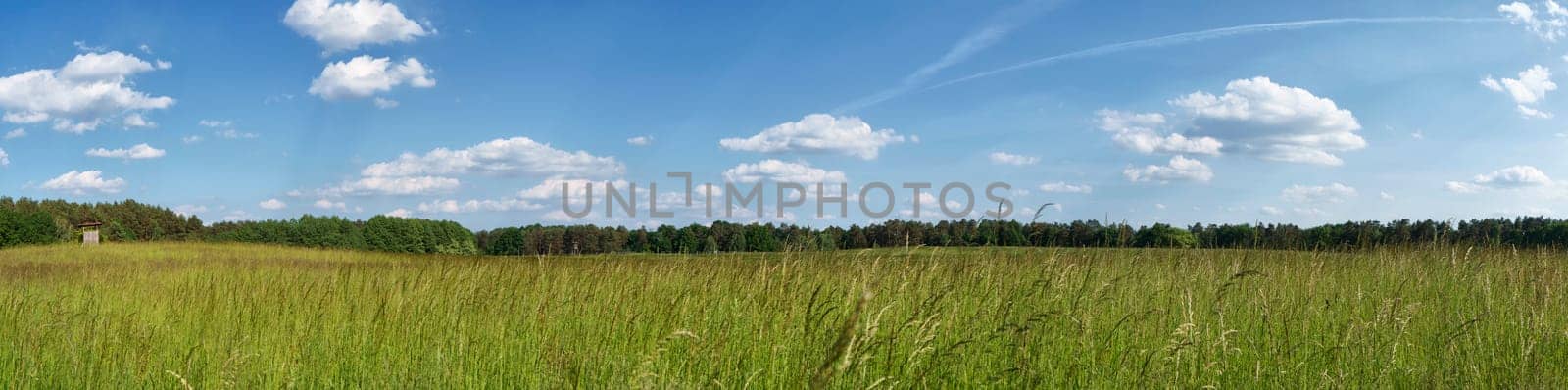 Schorfheide landscape panorama, Land Brandenburg, Germany