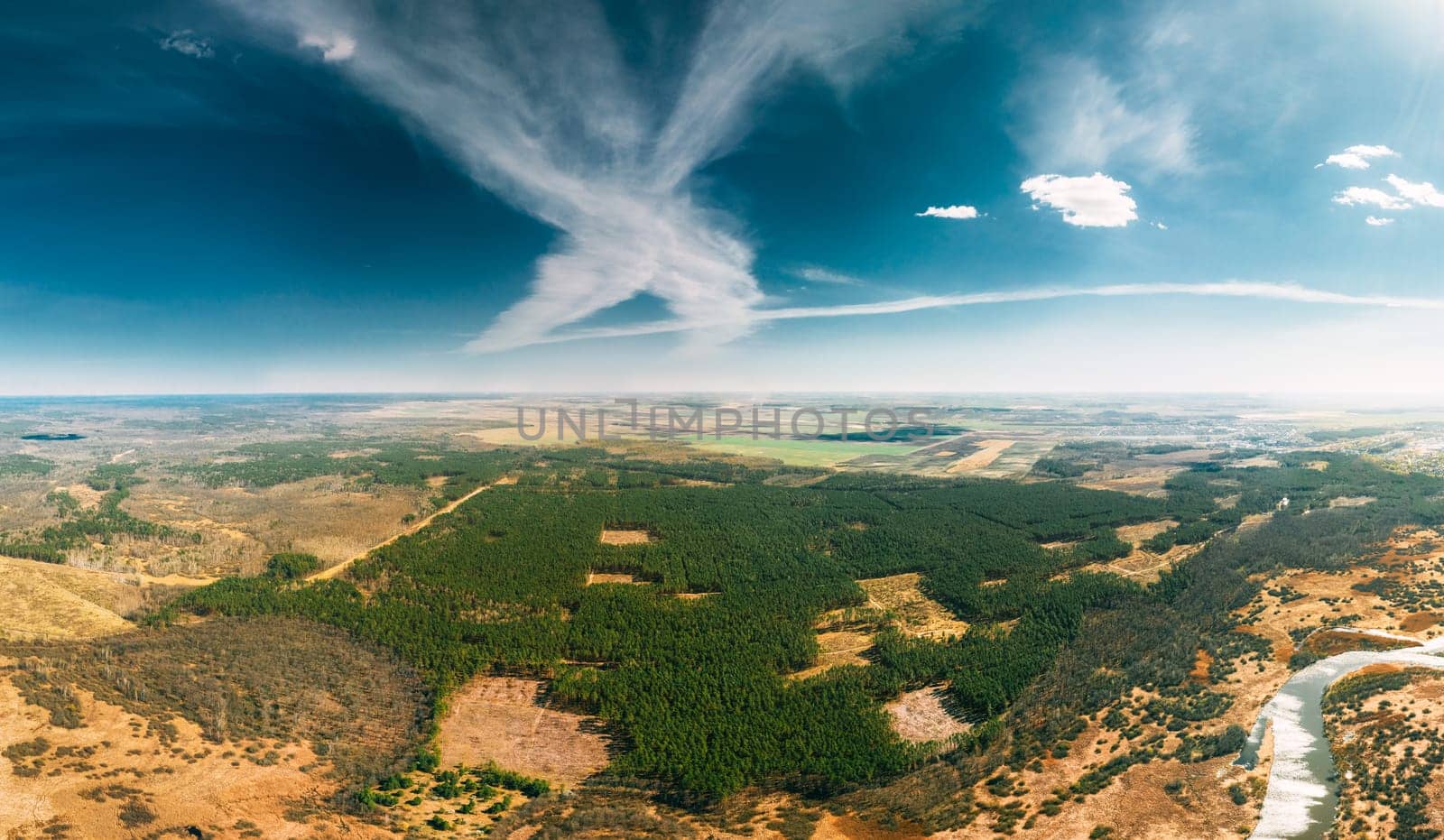 Aerial View Of Deforestation Area Landscape. Green Pine Forest In Deforestation Zone. Top View Of Forest Landscape. Drone View. Bird's Eye View. Panorama, Panoramic View.