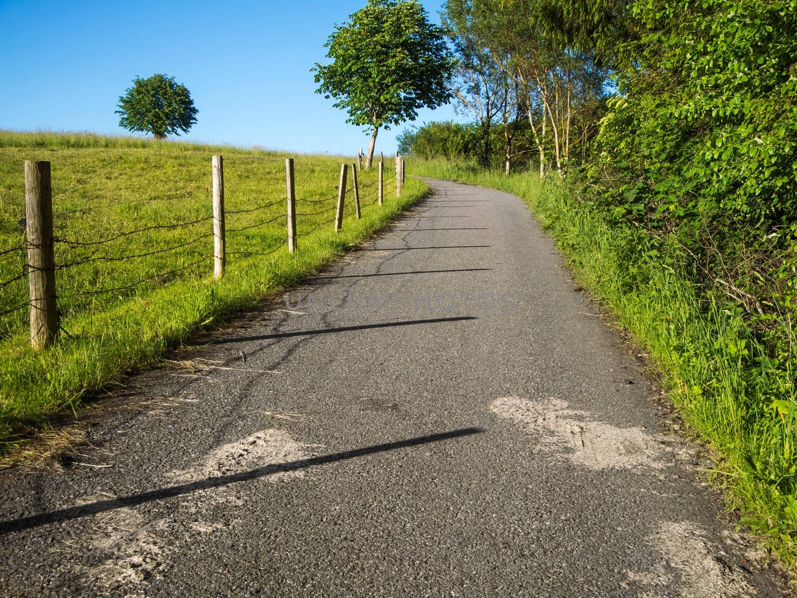 Landscape with a rising asphalt road next to a fenced pasture with a few small trees in summer in Bavaria / Germany.