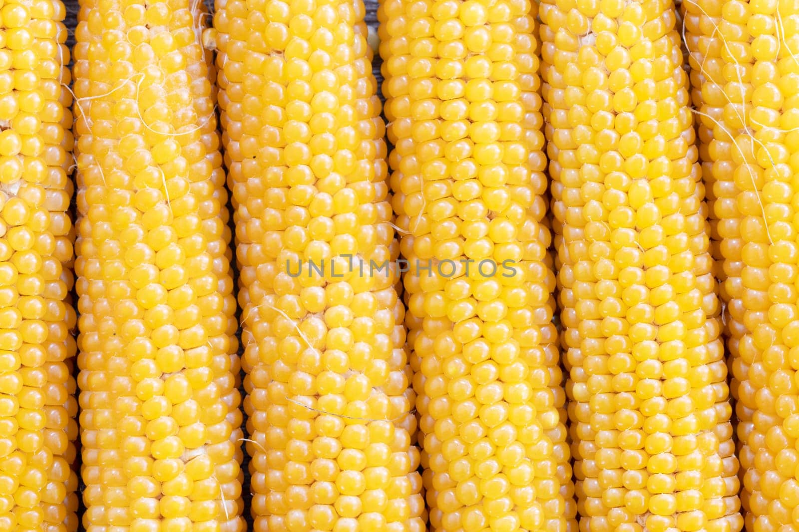 Cobs of dried popcorn filling frame for food background.