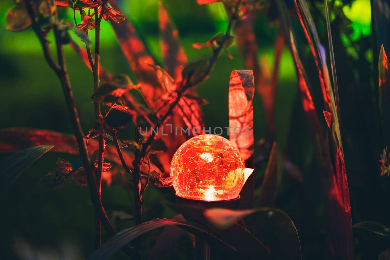 Night View Of Flowerbed Illuminated By Energy-Saving Solar Powered Colorful Multi-colored Lantern On Yard. Beautiful Small Garden With Red Light, Lamp In Flower Bed. Garden Design.