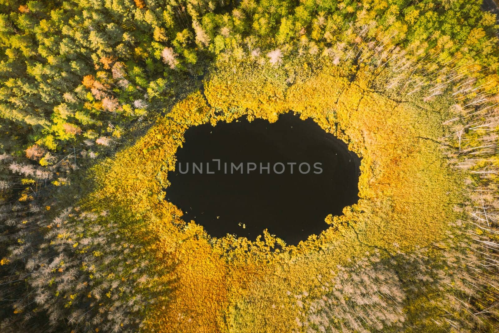 Braslaw Or Braslau, Vitebsk Region, Belarus. Aerial View Of Round Lake And Green Forest Landscape In Sunny Autumn Day. Top View Of Famous Lakes. Natural Landmark.