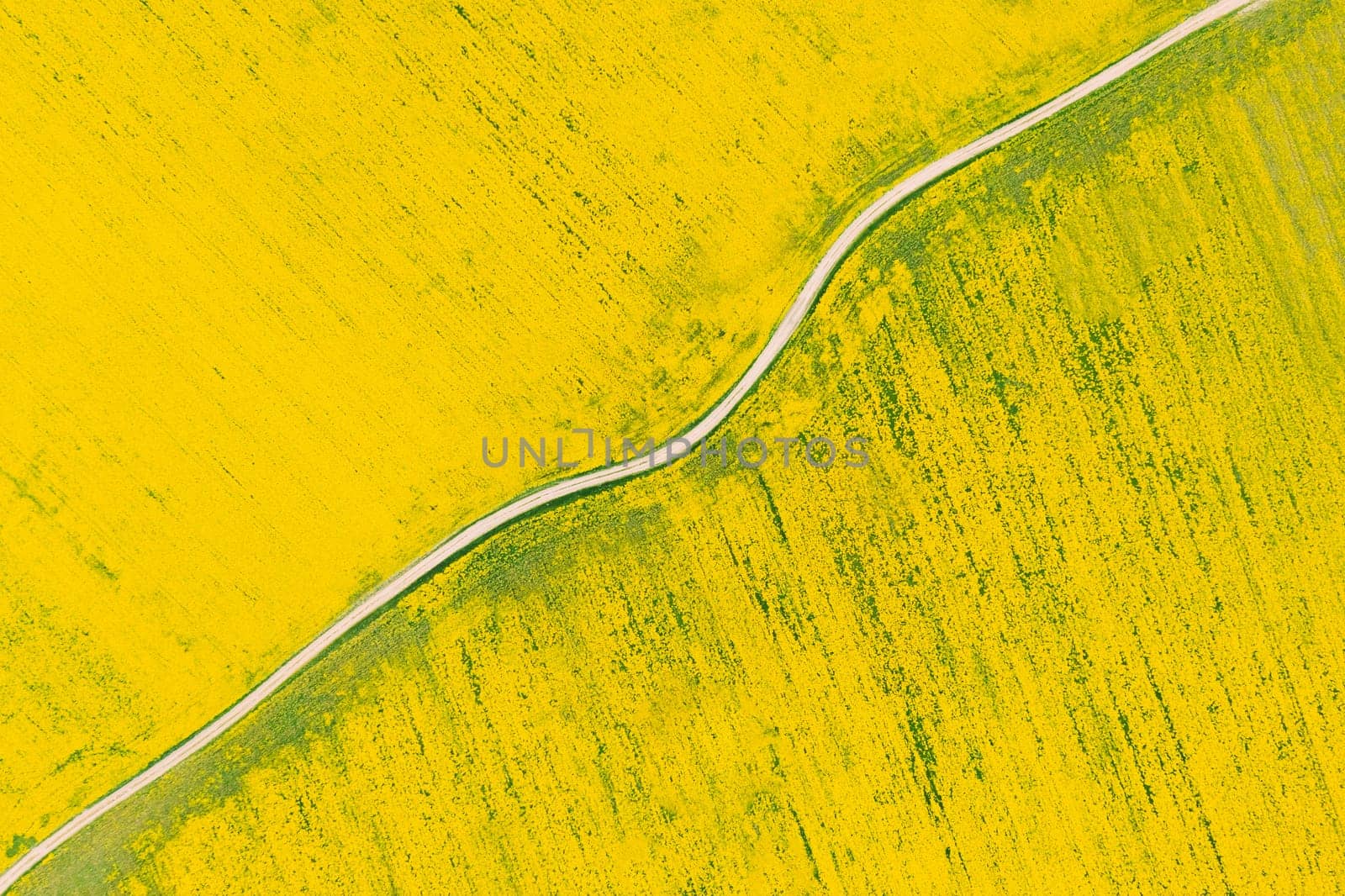 Aerial View Of Agricultural Landscape With Flowering Blooming Rapeseed, Oilseed In Field Meadow In Spring Season. Blossom Of Canola Yellow Flowers. Beautiful Rural Background Backdrop.