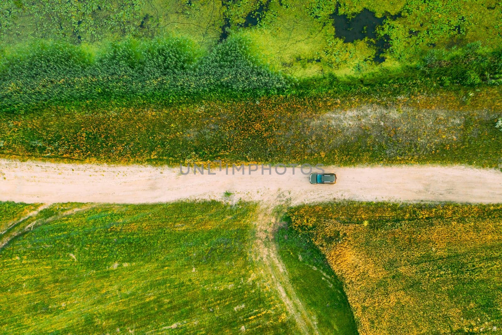 Aerial View Of Car SUV Parked On Countryside Road Between Rural Field And Marsh Bog Swamp Landscape. Summer Day.