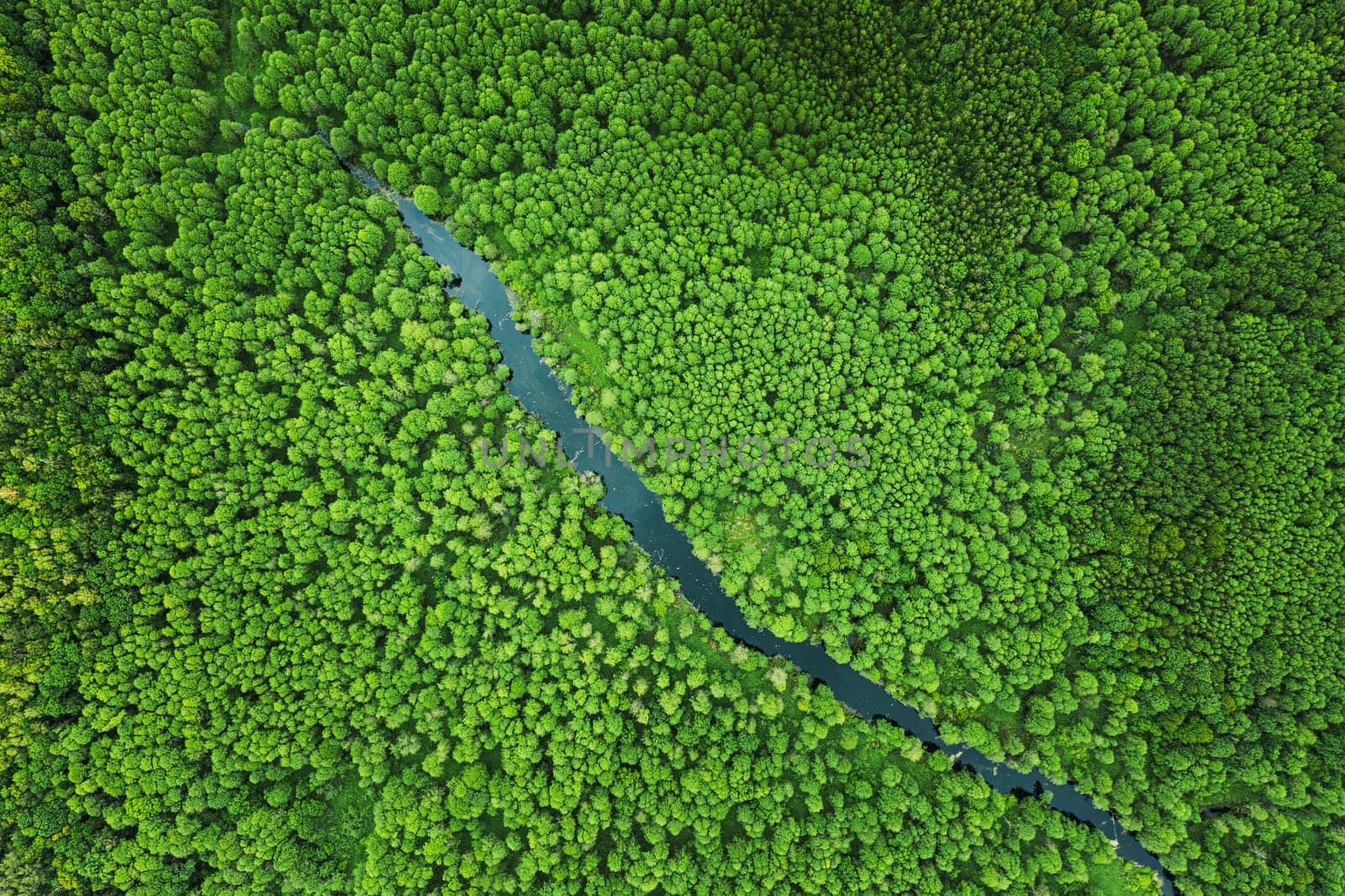Elevated View Of Green Small Bog Marsh Swamp River Wetland And Green Forest Landscape In Summer Day. Attitude View. Forest In Bird's Eye View.