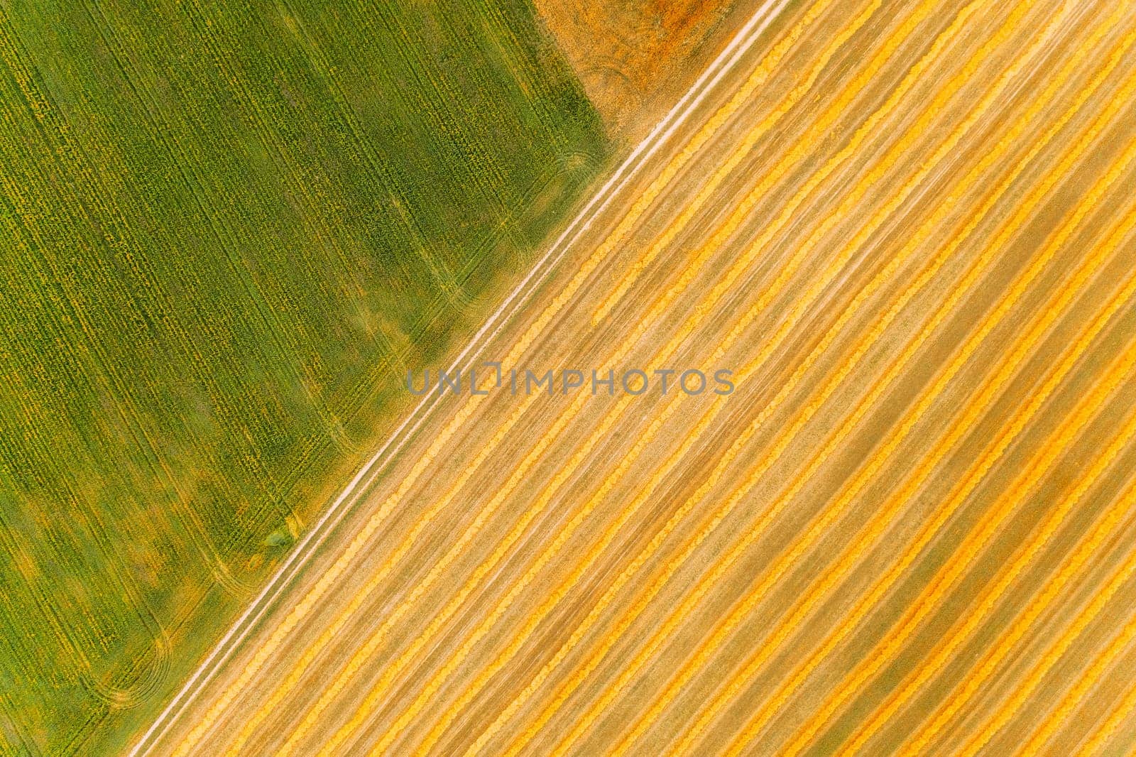 Aerial View Of Summer Hay Field Landscape. Flat View Natural Agricultural Background. Harvest Season Time. Cut Dry Grass Turned Into Straw Has Not Yet Been Removed From Field.