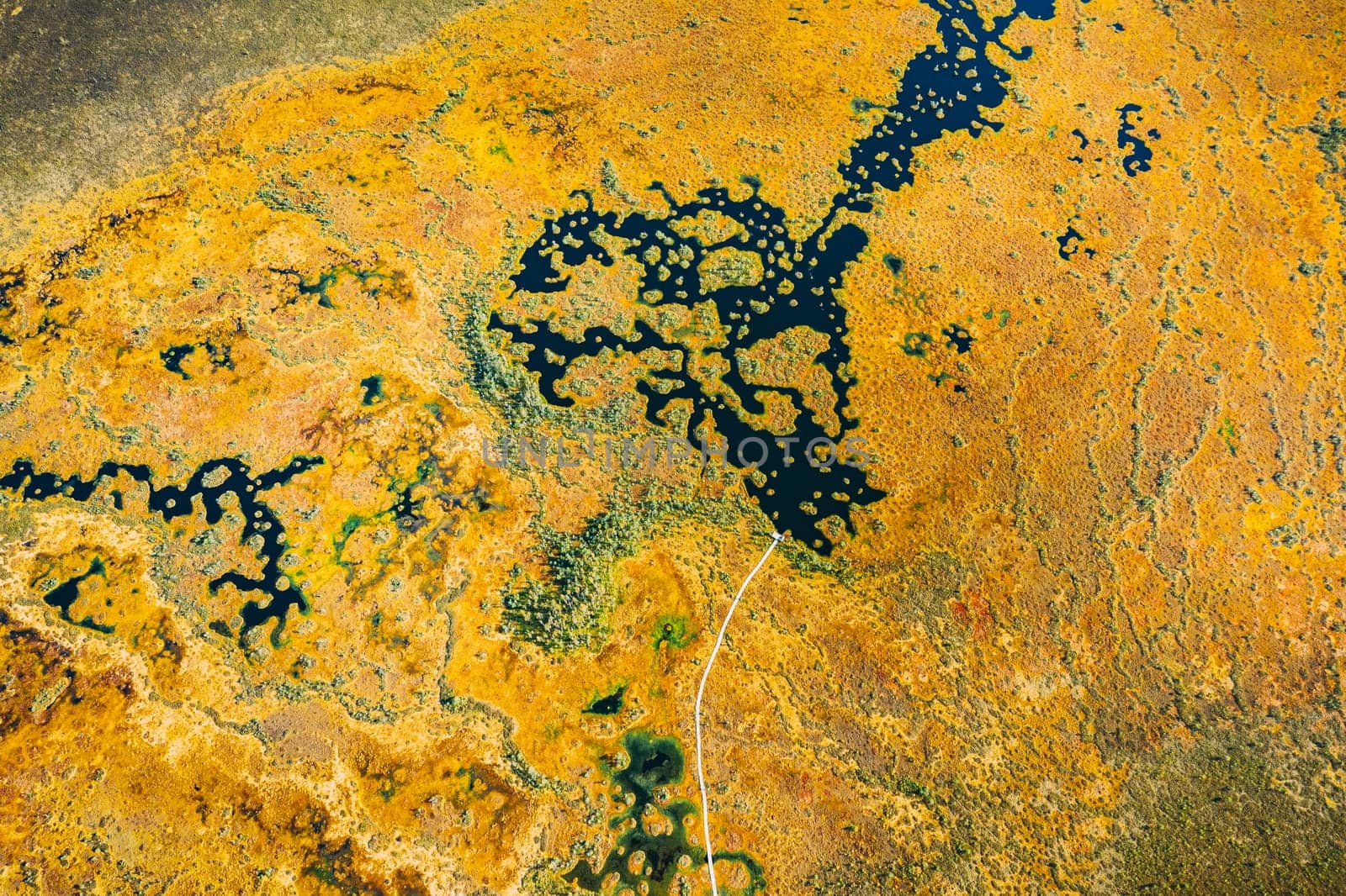Miory District, Vitebsk Region, Belarus. The Yelnya Swamp. Upland And Transitional Bogs With Numerous Lakes. Elevated Aerial View Of Yelnya Nature Reserve Landscape. Famous Natural Landmark.