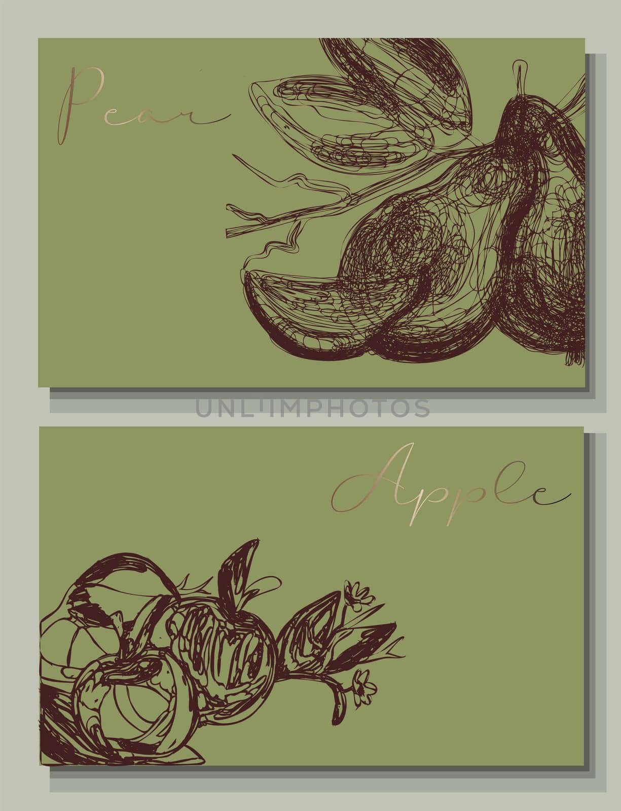 Label for homemade jam. pear jam packing. vector pear