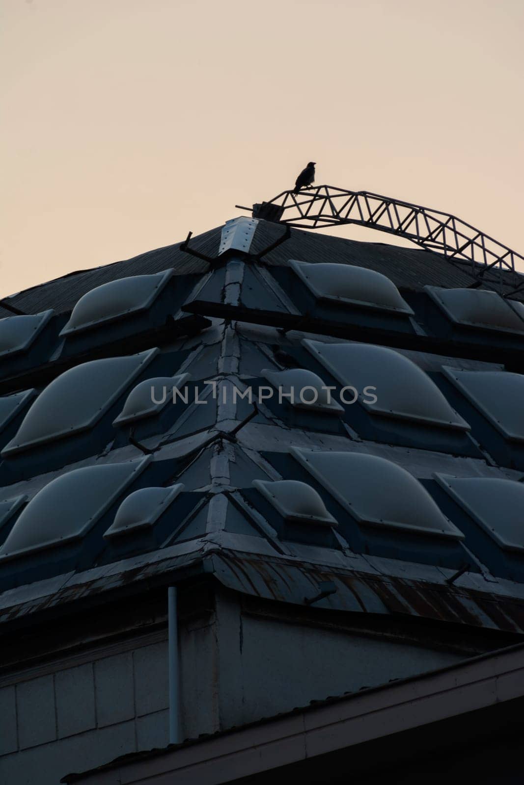 A crow on top of a modern building