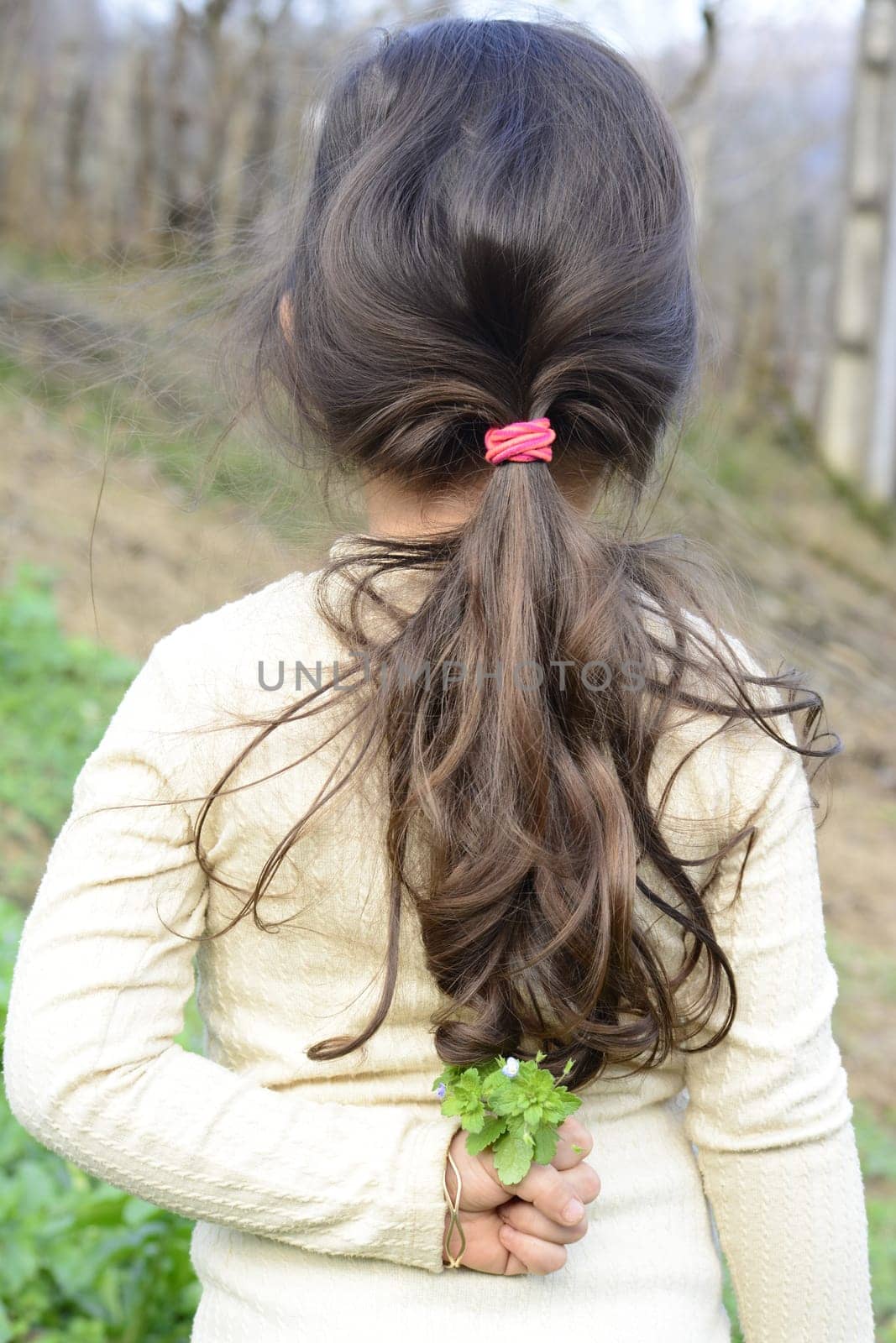 5 years old girl holding wildflowers at her back