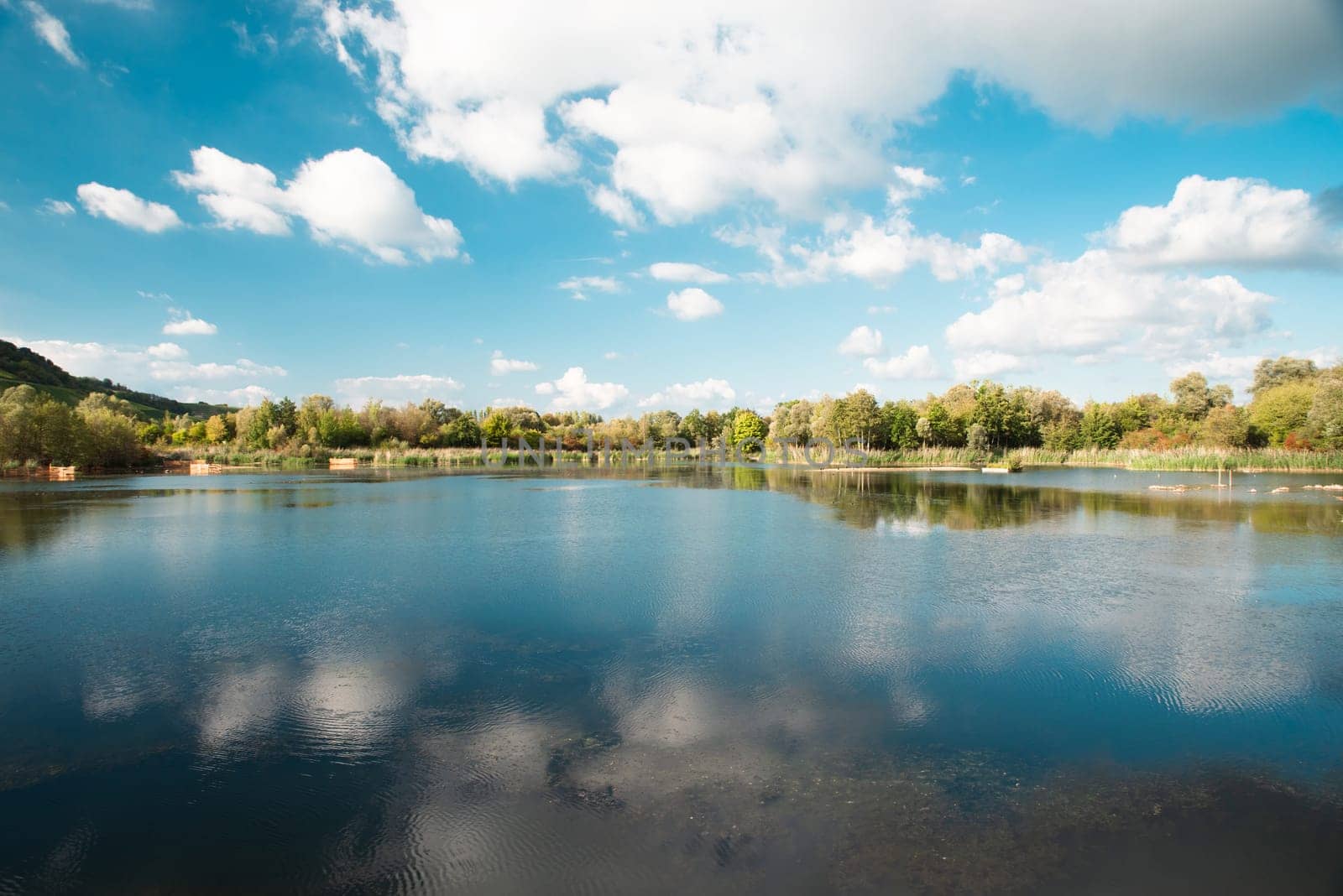 Biodiversity Haff Reimech, wetland and nature reserve in Luxembourg, pond surrounded by reed and trees, bird watching observation point