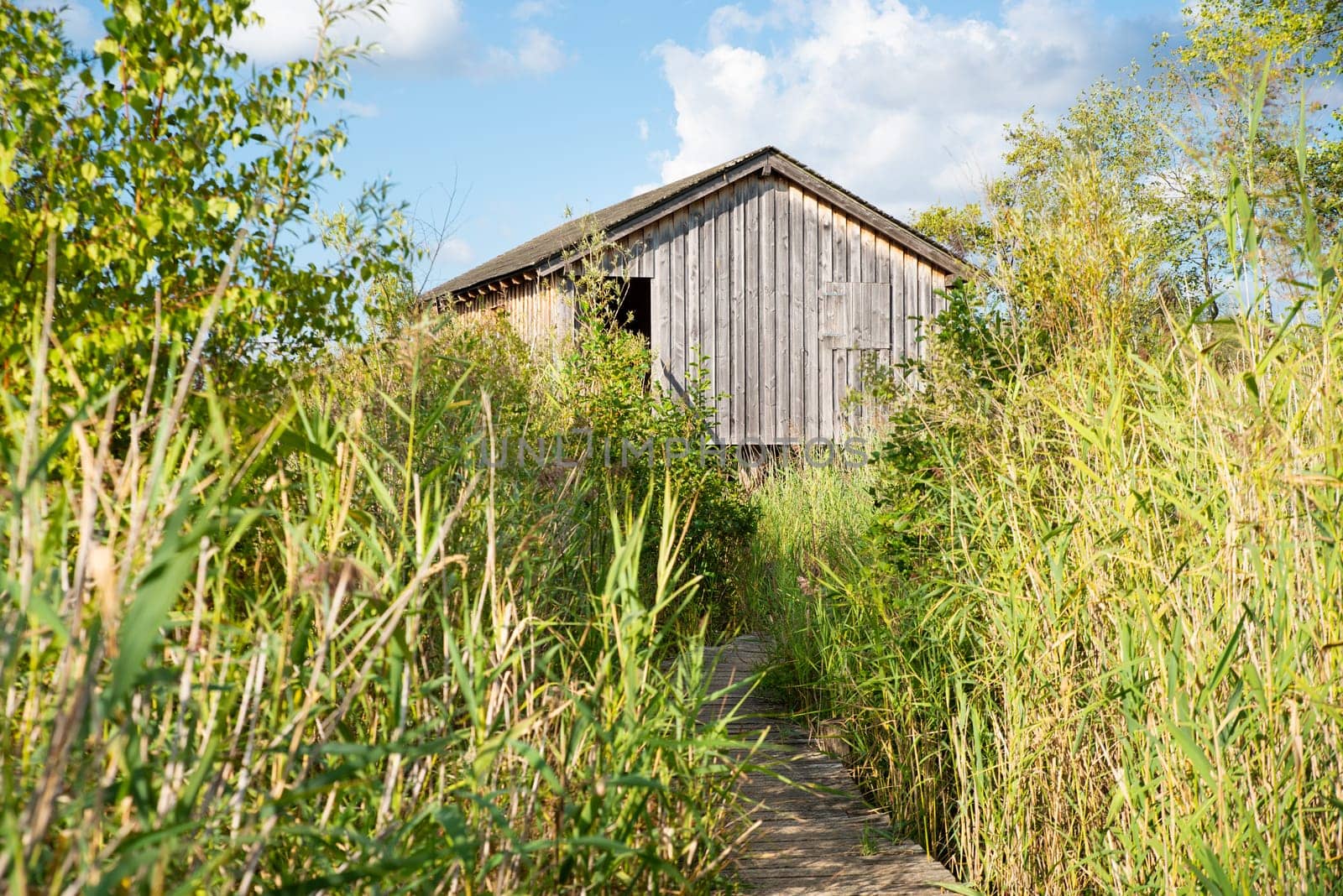 Haff Reimech, wetland in Luxembourg, path on a jetty through reed, wooden observation house for bird watching