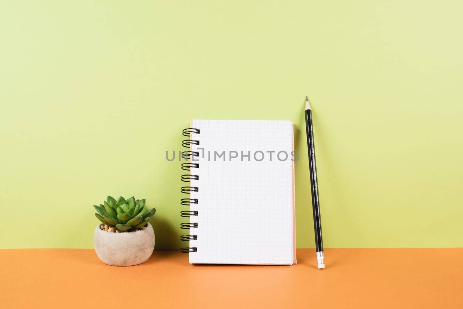 Blank notepad with a pencil on an orange and green background, pot with a cactus, copy space for text, office desk