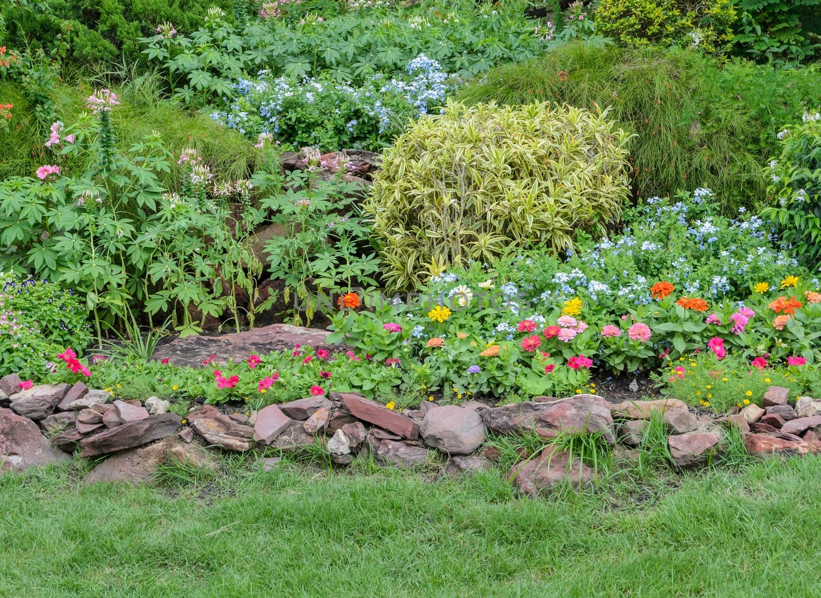 Beautiful garden of multicolored flowerbed