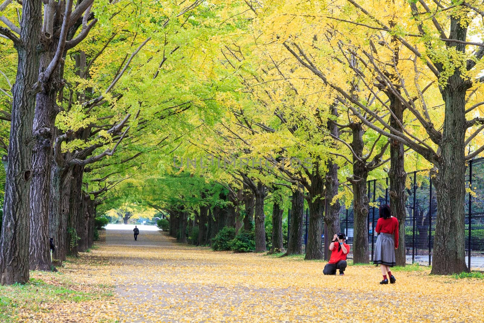 Showa Memorial Park for adv or others purpose use
