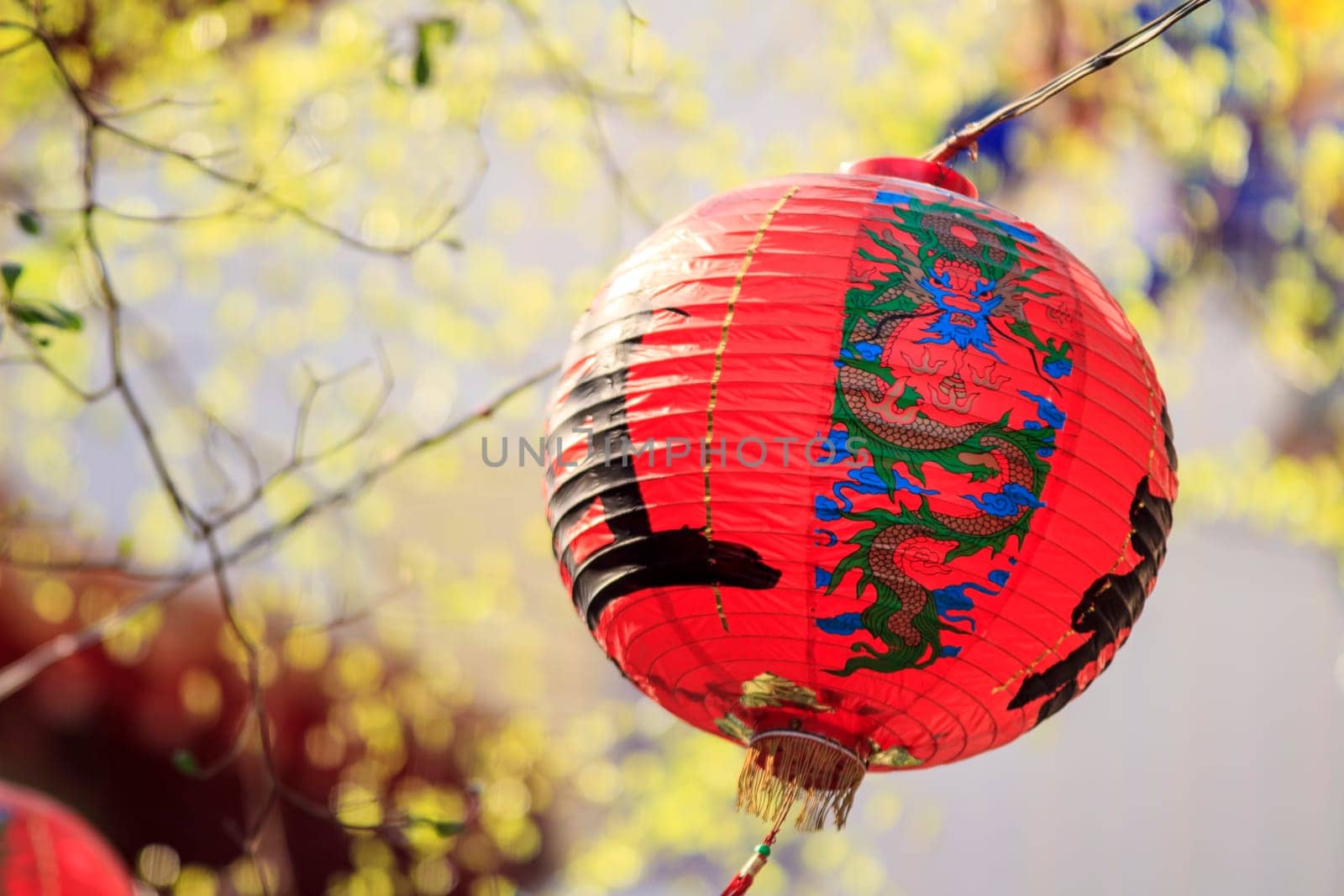 Chinese lanterns for adv or others purpose use