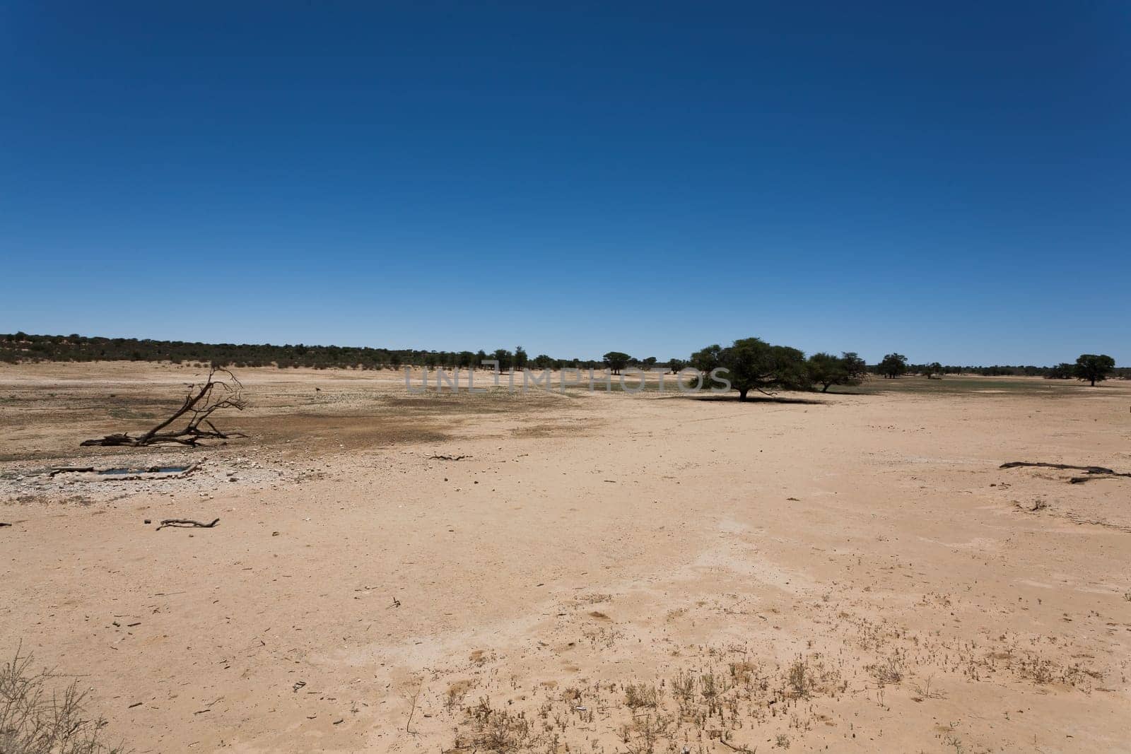 Panorama from Kgalagadi National Park, South Africa