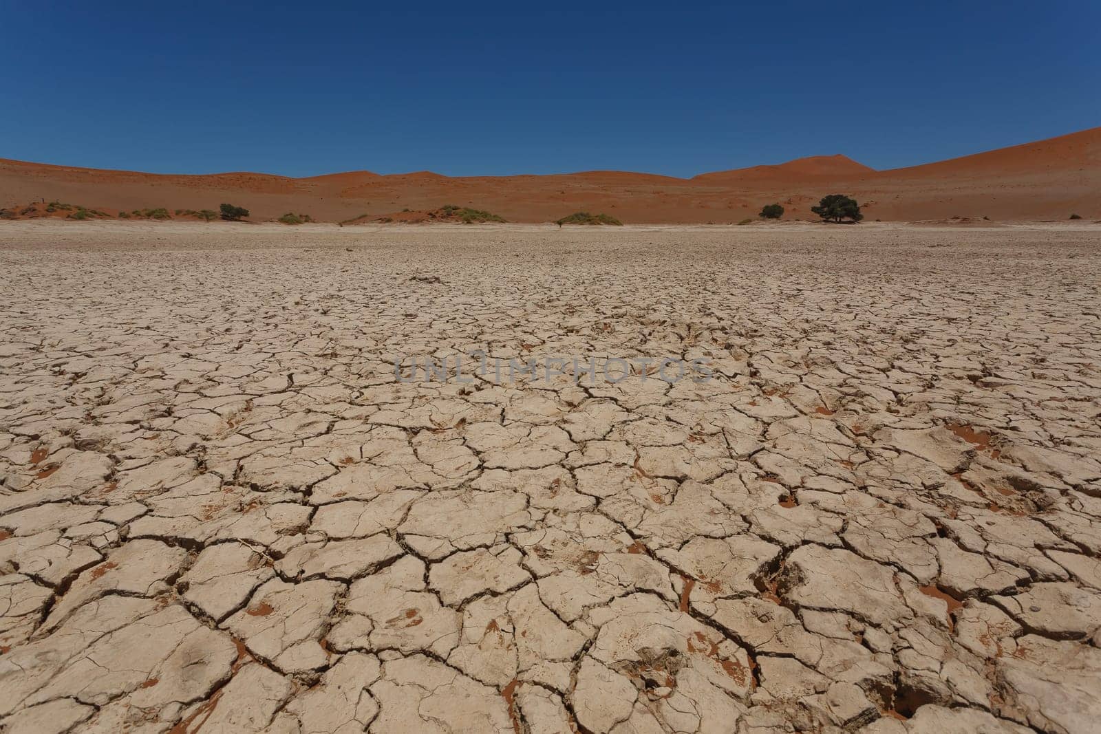 Sossusvlei salt pan with red dunes in background, Namibia