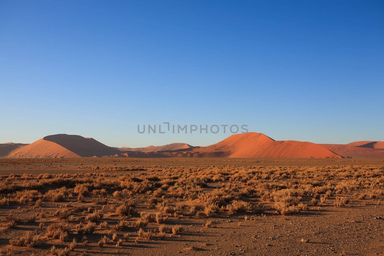 Red dunes on the road to Sossusvlei, Namibia
