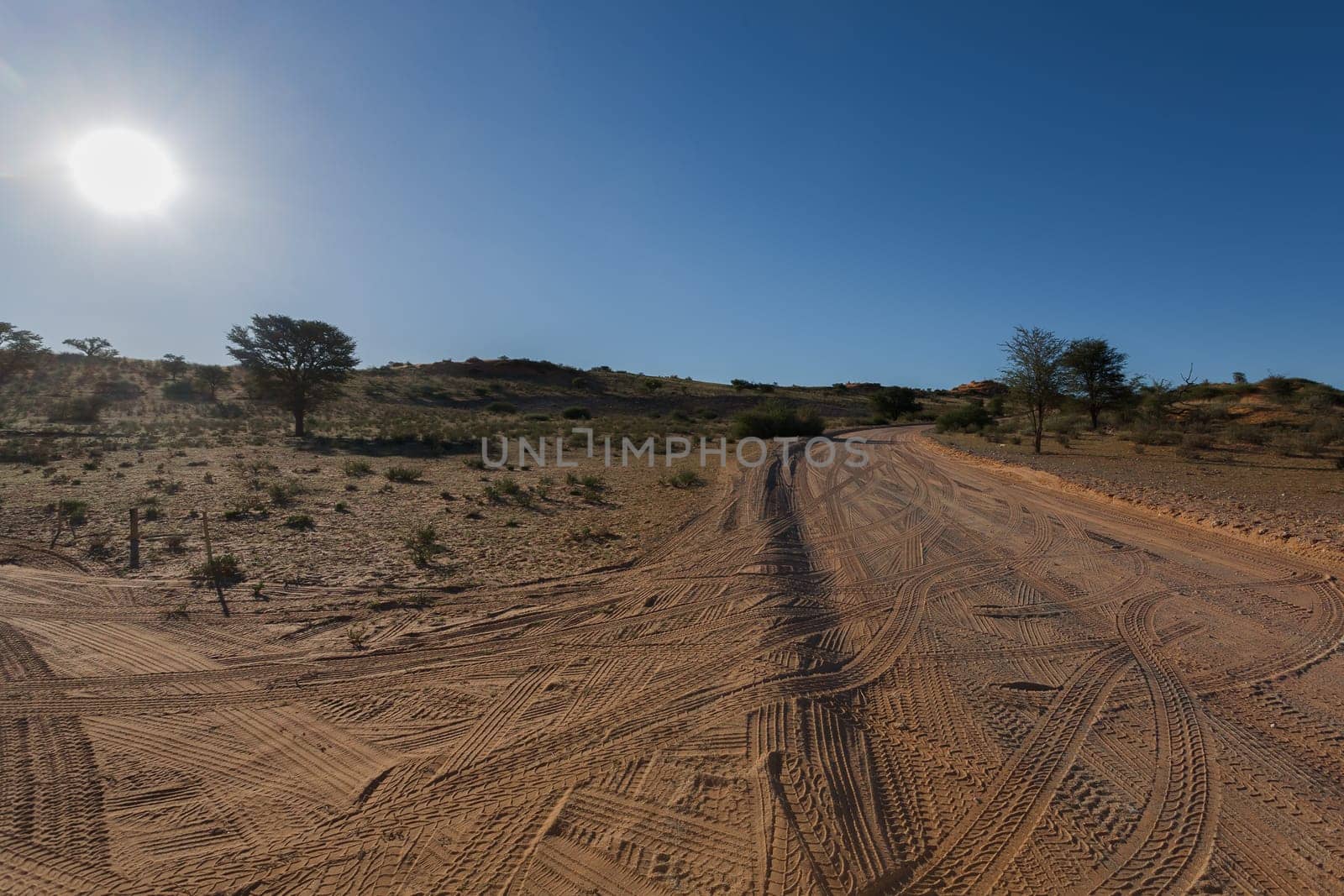 A view from Kgalagadi Transfontier Park, South Africa