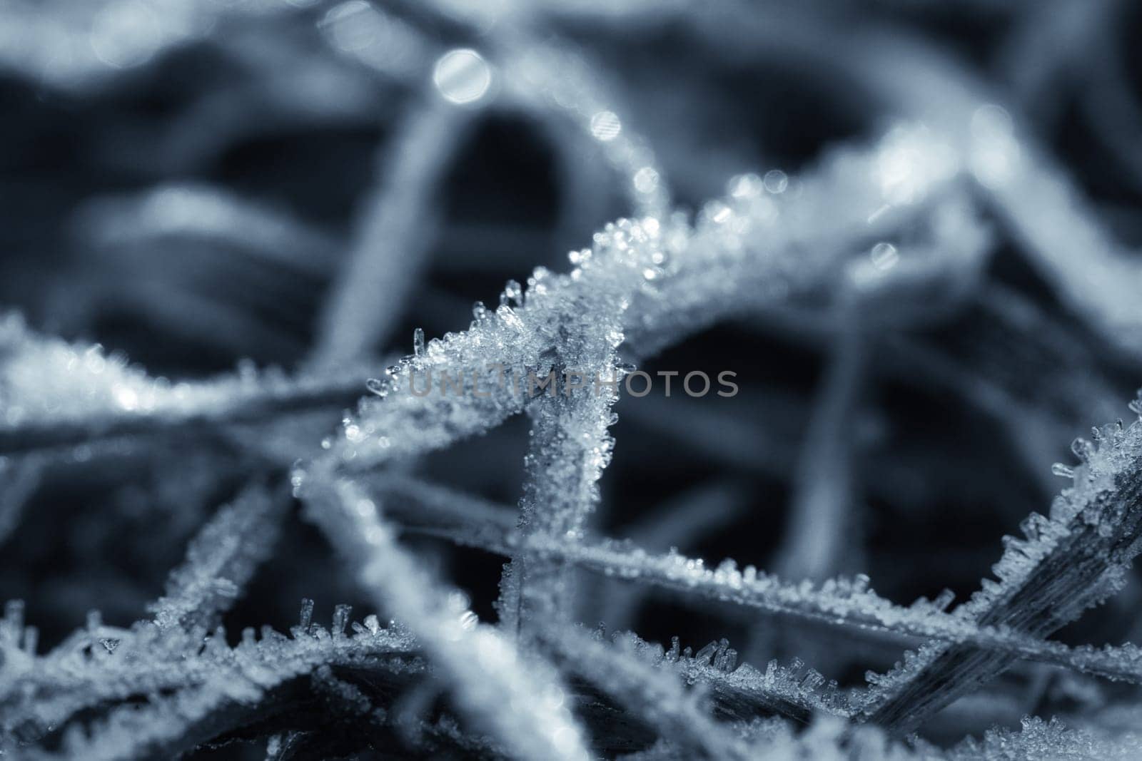 Ice crystals in black and white, on a blade of grass in winter. Close up of frozen water. Macro shot from nature
