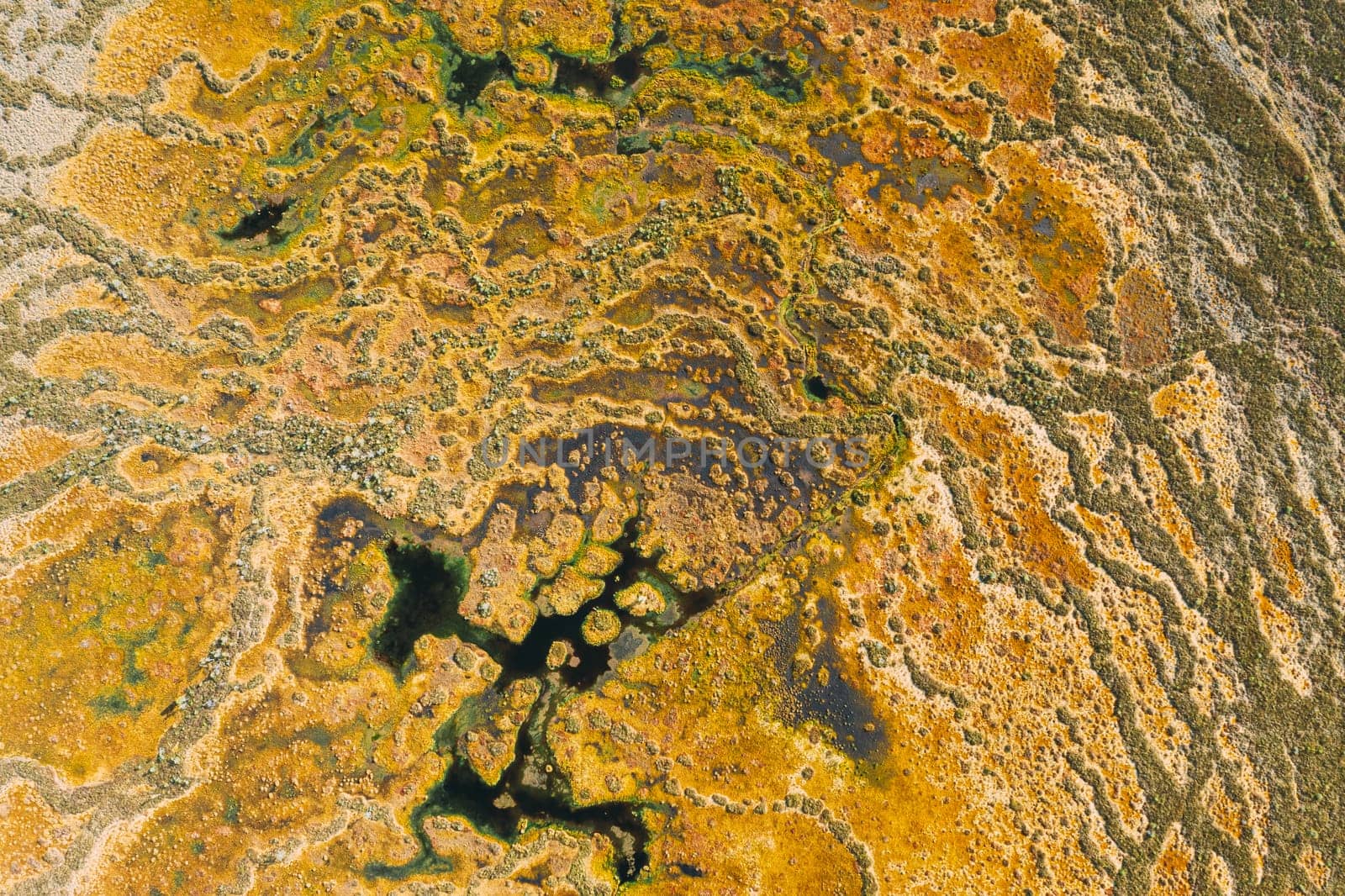 Miory District, Vitebsk Region, Belarus. The Yelnya Swamp. Upland And Transitional Bogs With Numerous Lakes. Elevated Aerial View Of Yelnya Nature Reserve Landscape. Famous Natural Landmark.