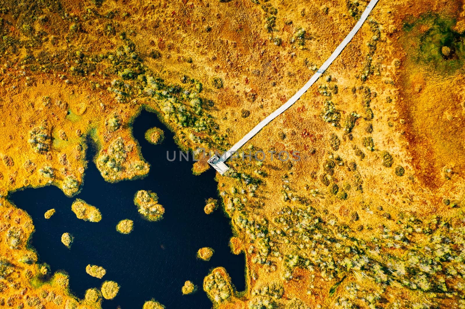 Miory District, Vitebsk Region, Belarus. The Yelnya Swamp. Aerial View Of Yelnya Nature Reserve Landscape. Narrow Wooden Hiking Trail Winding Through Marsh. Cognitive Boardwalk Trail Over A Wetland.