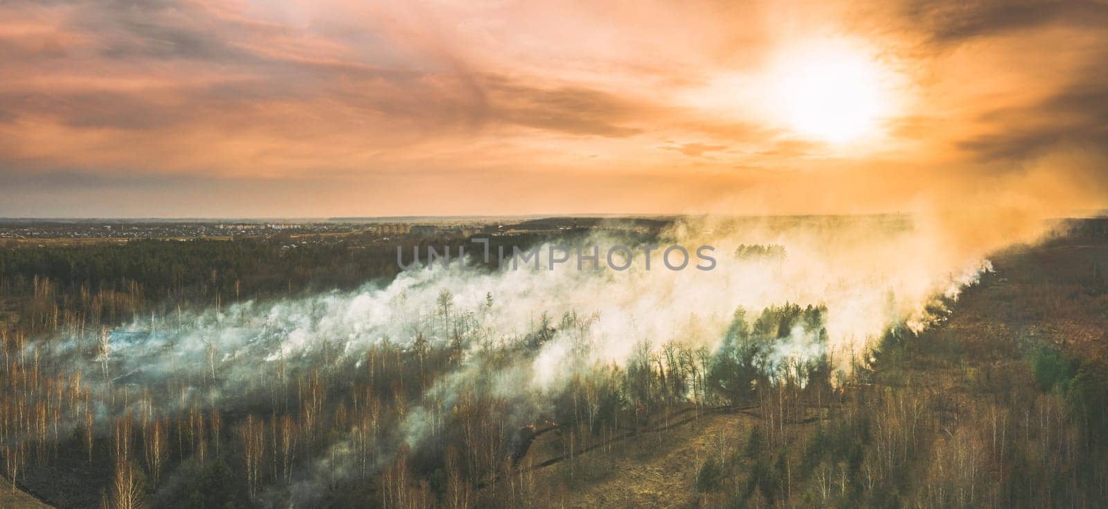 Aerial View. Spring Dry Forest Burns During Drought Hot Weather. Bush Fire And Smoke During Sunset. Wild Open Fire Destroys Grass. Nature In Danger. Ecological Problem Air Pollution. Natural Disaster