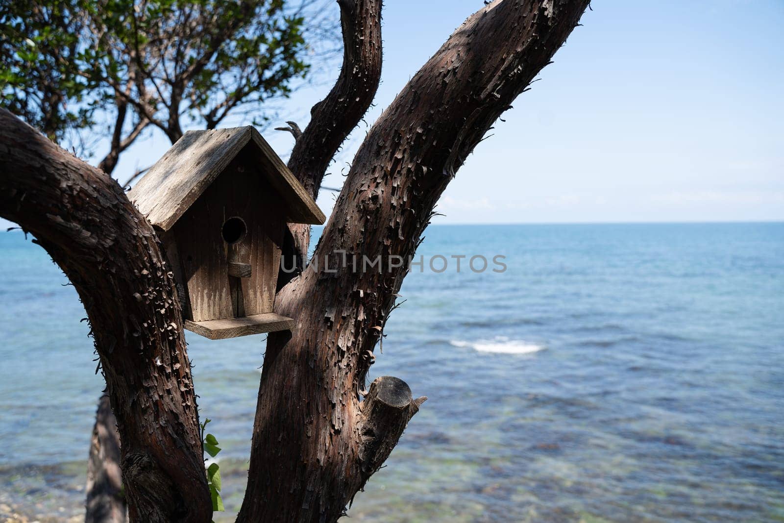 front view closeup of nest box bird wooden house on a tree near the sea