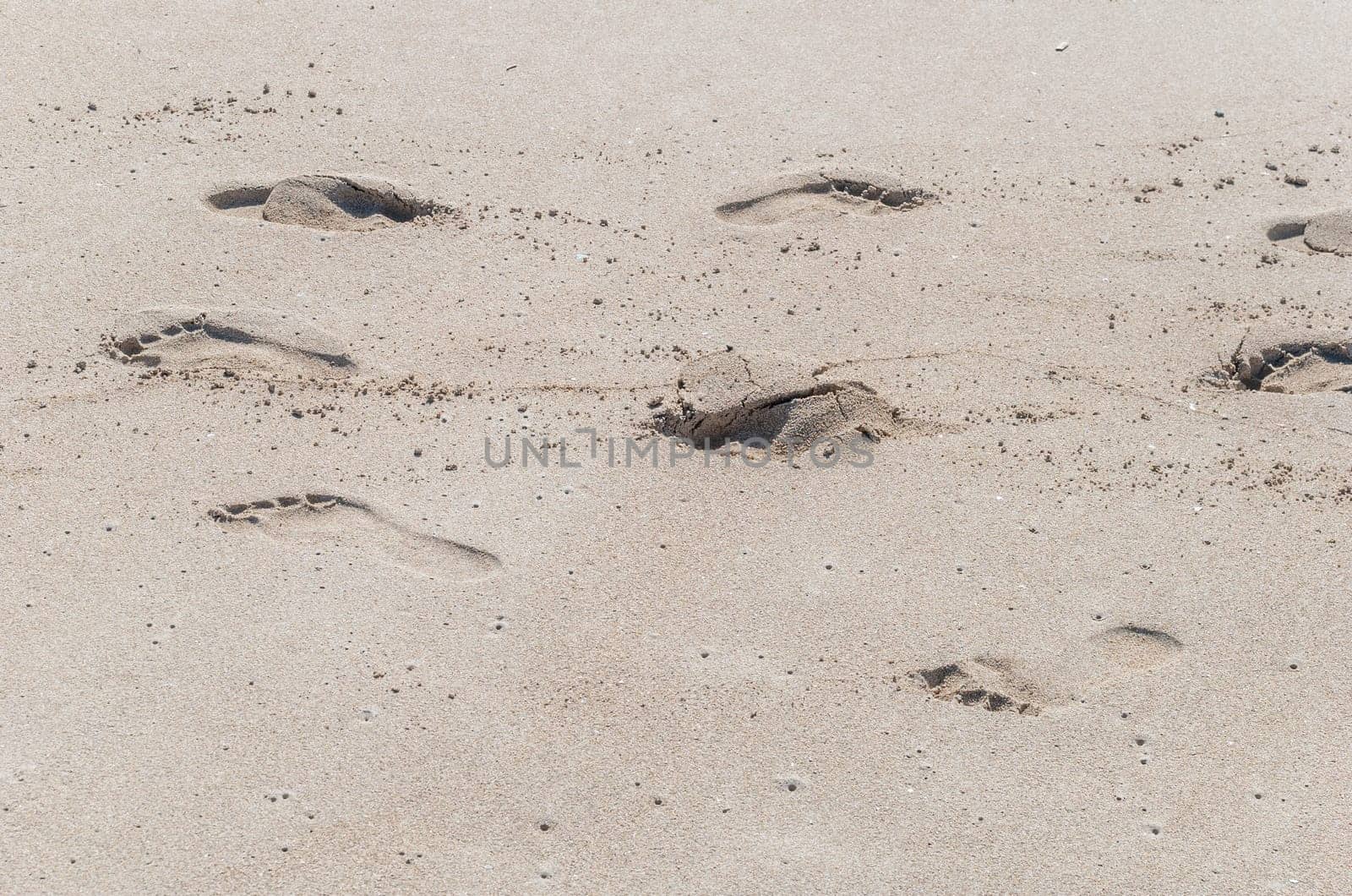 A closeup shot of footprints in the sand at the beach
