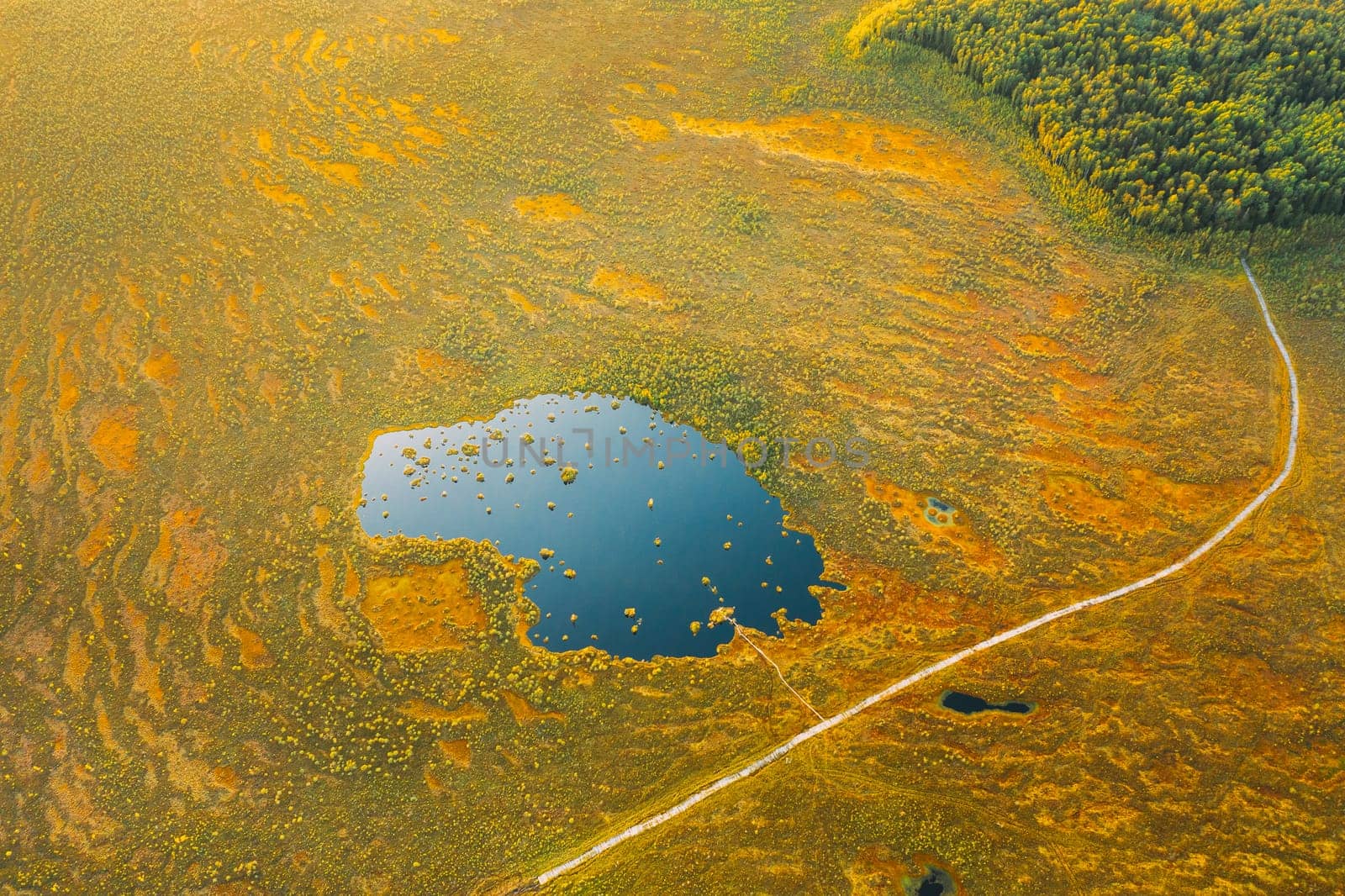 Miory District, Vitebsk Region, Belarus. The Yelnya Swamp. Aerial View Of Yelnya Nature Reserve Landscape. Narrow Wooden Hiking Trail Winding Through Marsh. Cognitive Boardwalk Trail Over A Wetland.