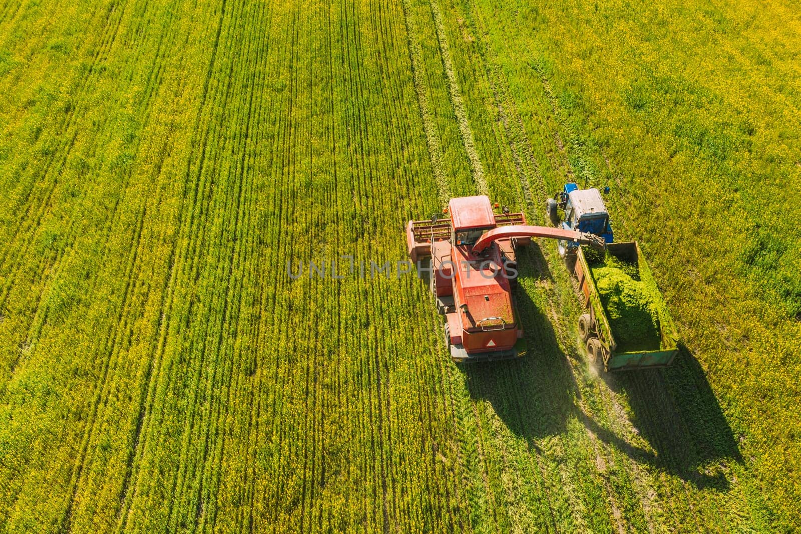 Aerial View Of Rural Landscape. Combine Harvester And Tractor Working Together In Field. Harvesting Of Oilseed In Spring Season. Agricultural Machines Collecting Blooming Rapeseeds Canola Colza. Elevated View.