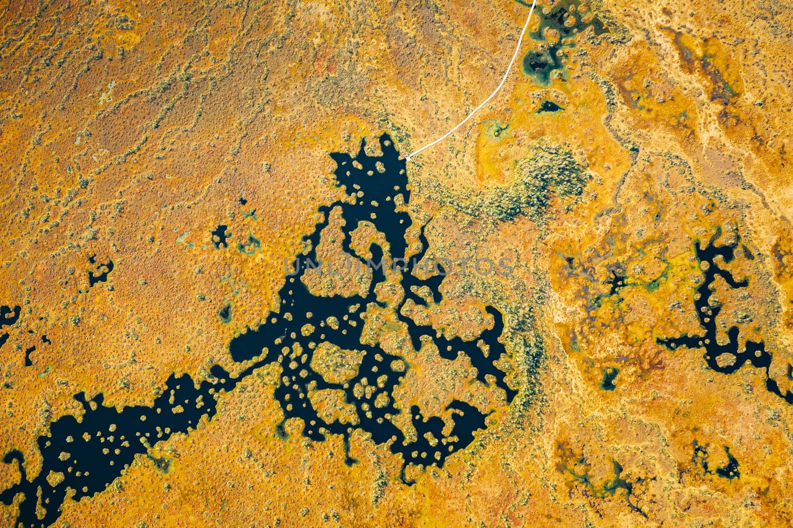 Miory District, Vitebsk Region, Belarus. Yelnya Swamp. Aerial View Of Yelnya Nature Reserve Landscape. Narrow Wooden Hiking Trail Winding Through Marsh. Cognitive Boardwalk Trail Over A Wetland.