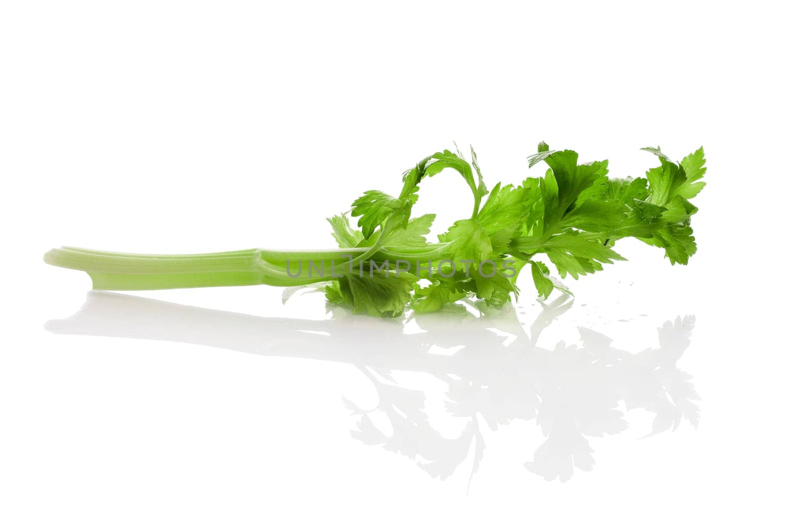 Celery, halm and leaves with reflection on white background