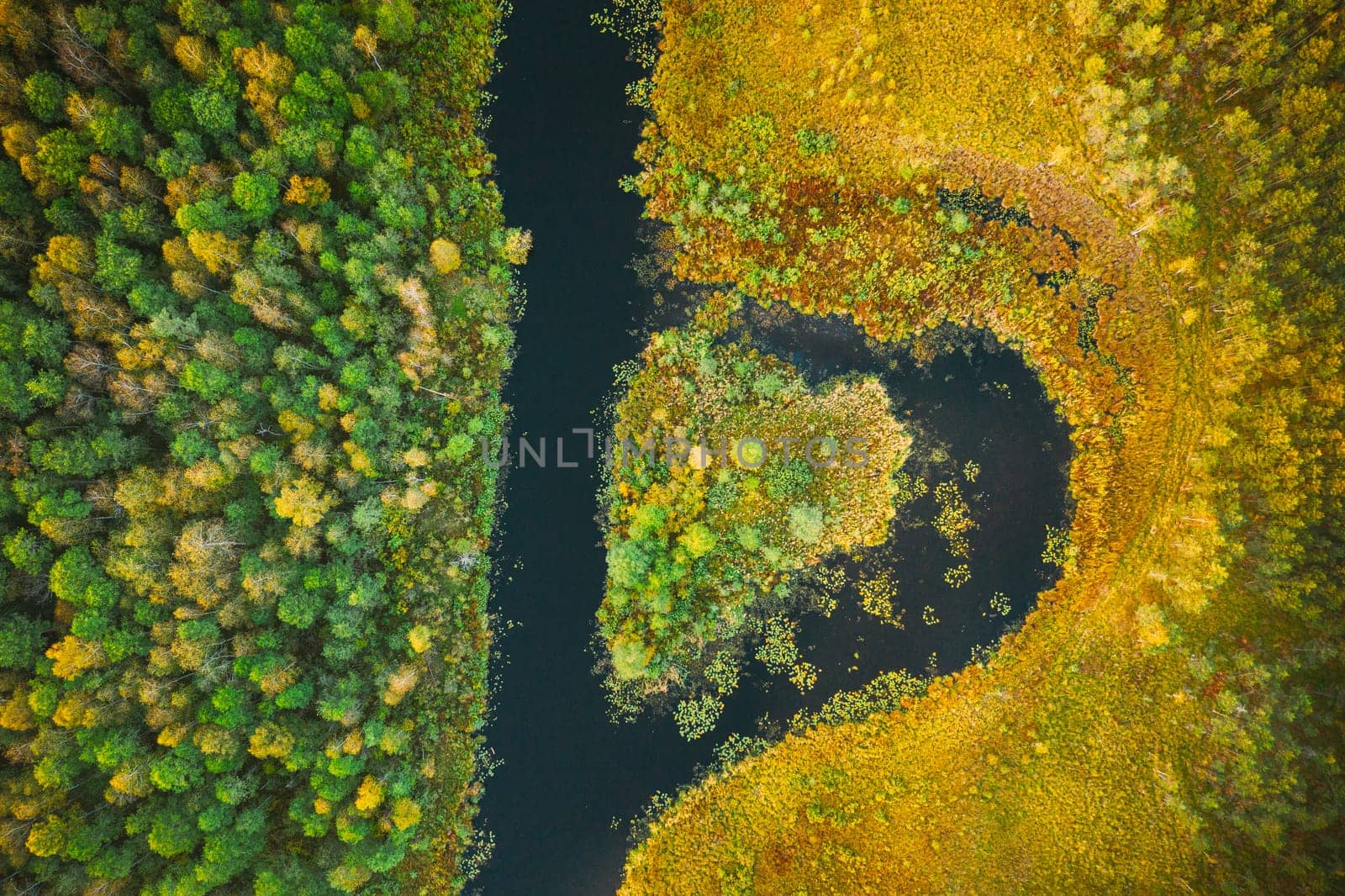 Aerial View Of Summer Curved River And Natural Island In Heart Shape. Landscape In Autumn Evening. Top View Of Beautiful European Nature From High Attitude In Summer Season.