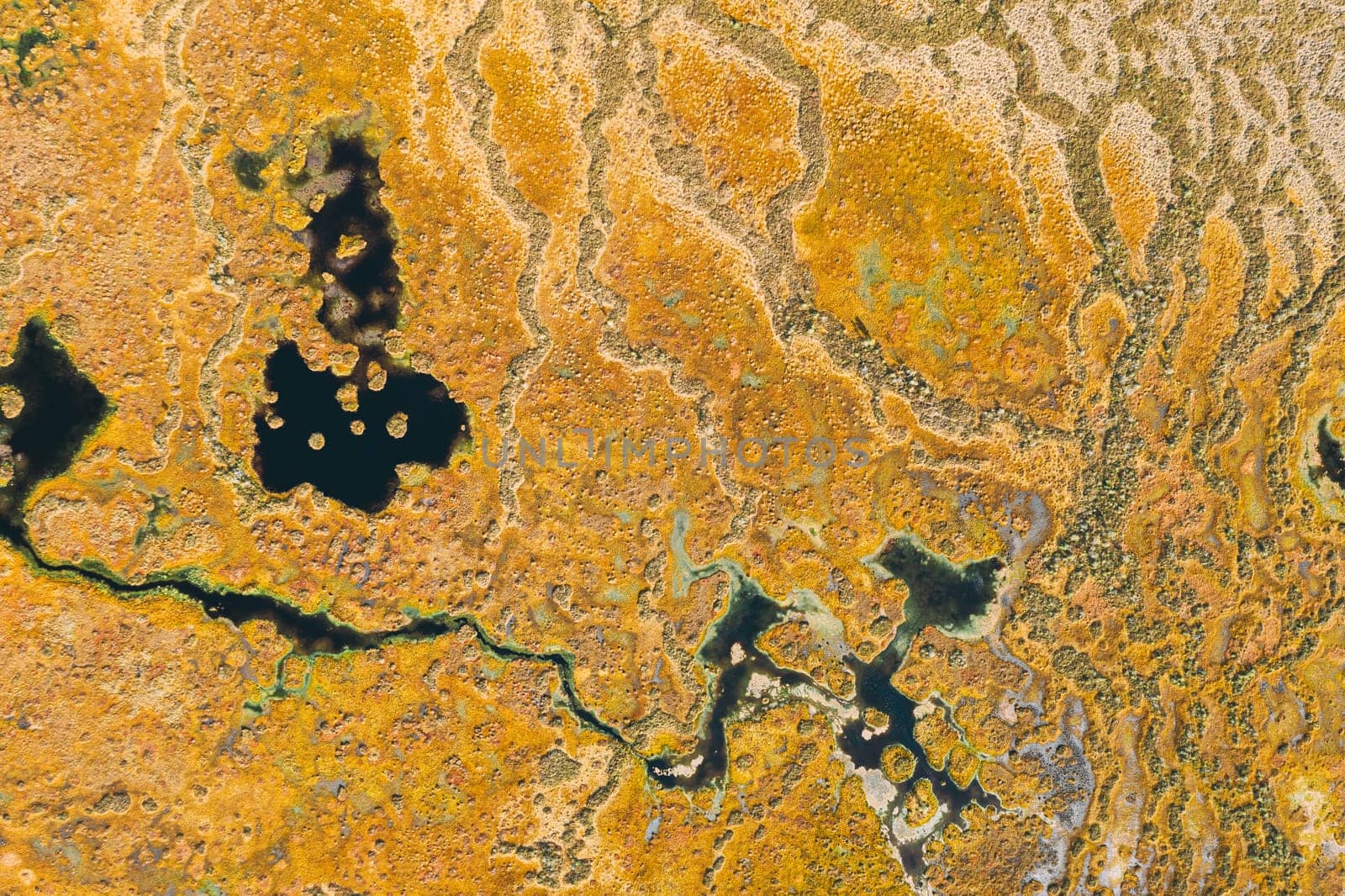 Miory District, Vitebsk Region, Belarus. The Yelnya Swamp. Upland And Transitional Bogs With Numerous Lakes. Elevated Aerial View Of Yelnya Nature Reserve Landscape. Famous Natural Landmark.