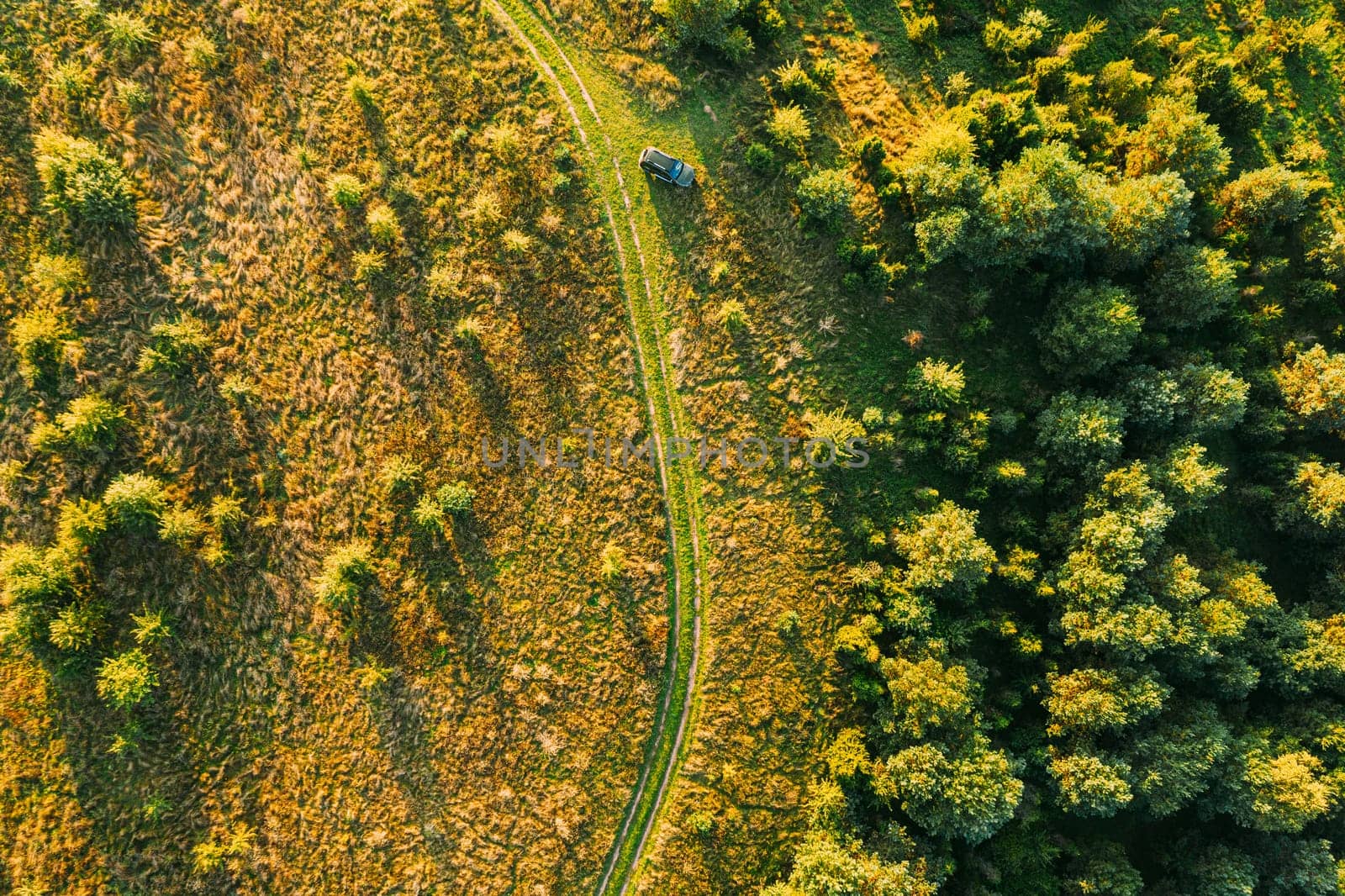 Aerial View Of Car Near Country Road Thgrough Forest And Green Meadow Landscape In Sunny Summer Morning. Top View Of Beautiful European Nature From High Attitude.